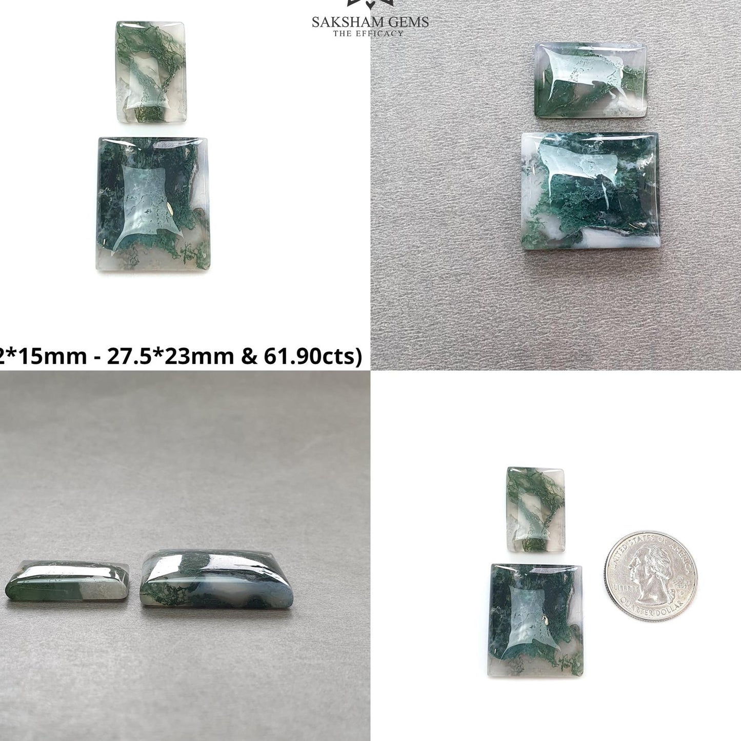 Botswana And Moss Agate Labradorite Gemstone Cabochon : Natural Untreated Bi-Color Agate Cushion Round Shape 2pcs Set