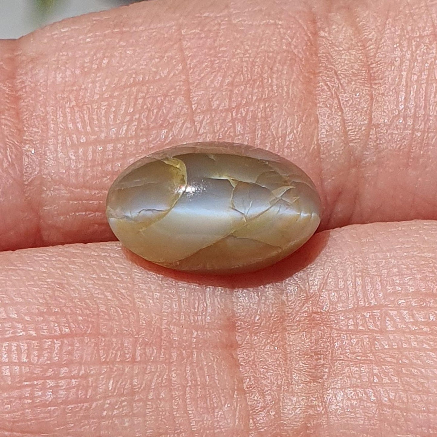 CHRYSOBERYL CAT'S EYE Gemstone Cabochon : Natural Untreated Unheated Cat's Eye Oval Shape For Jewelry
