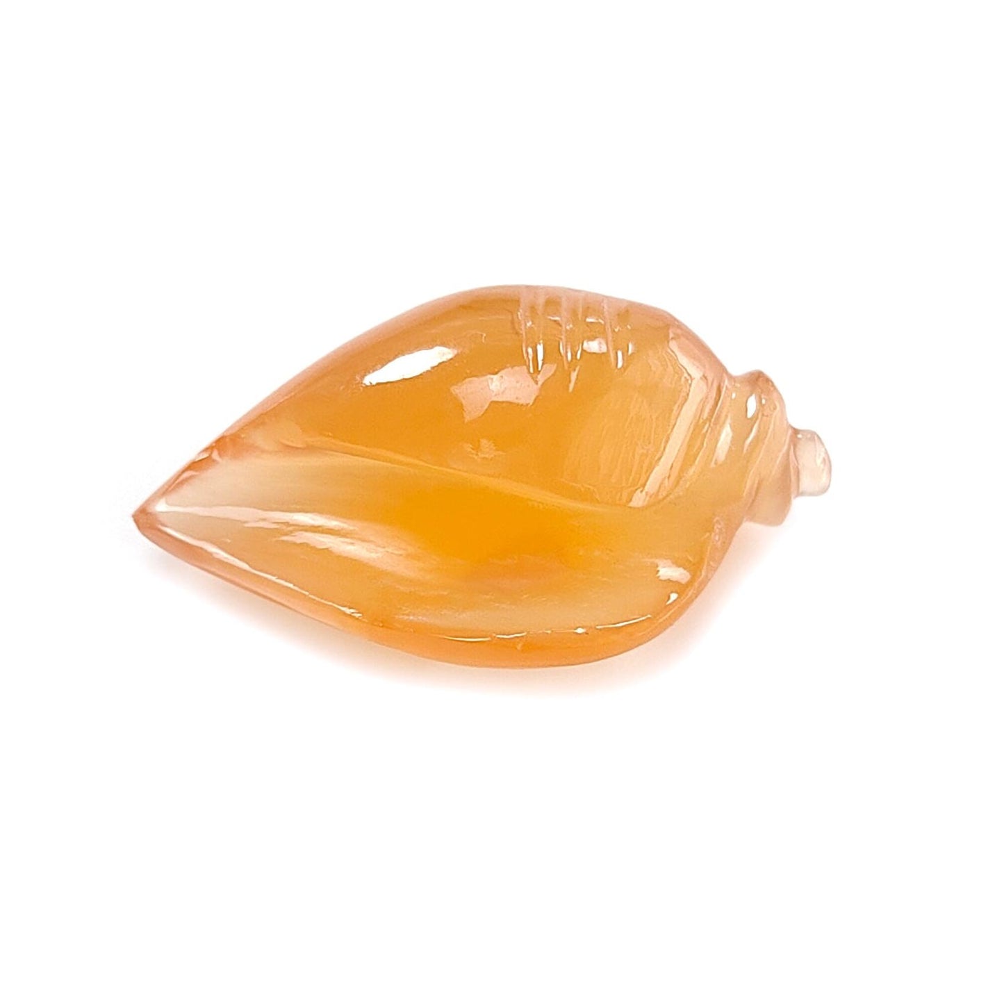 Multi Color Botswana Agate Gemstone Carving: Natural Untreated Bi-Color Agate Hand Carved Sea Shell & Butterfly 1pc, Pair for Jewelry