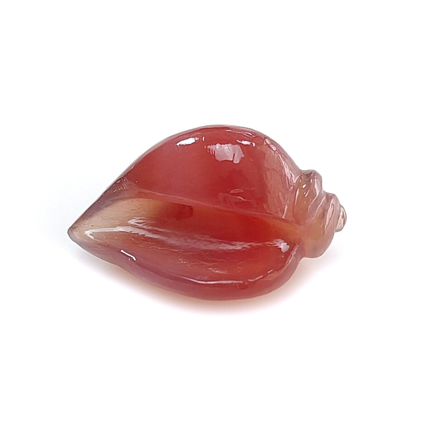 Multi Color Botswana Agate Gemstone Carving: Natural Untreated Bi-Color Agate Hand Carved Sea Shell & Butterfly 1pc, Pair for Jewelry
