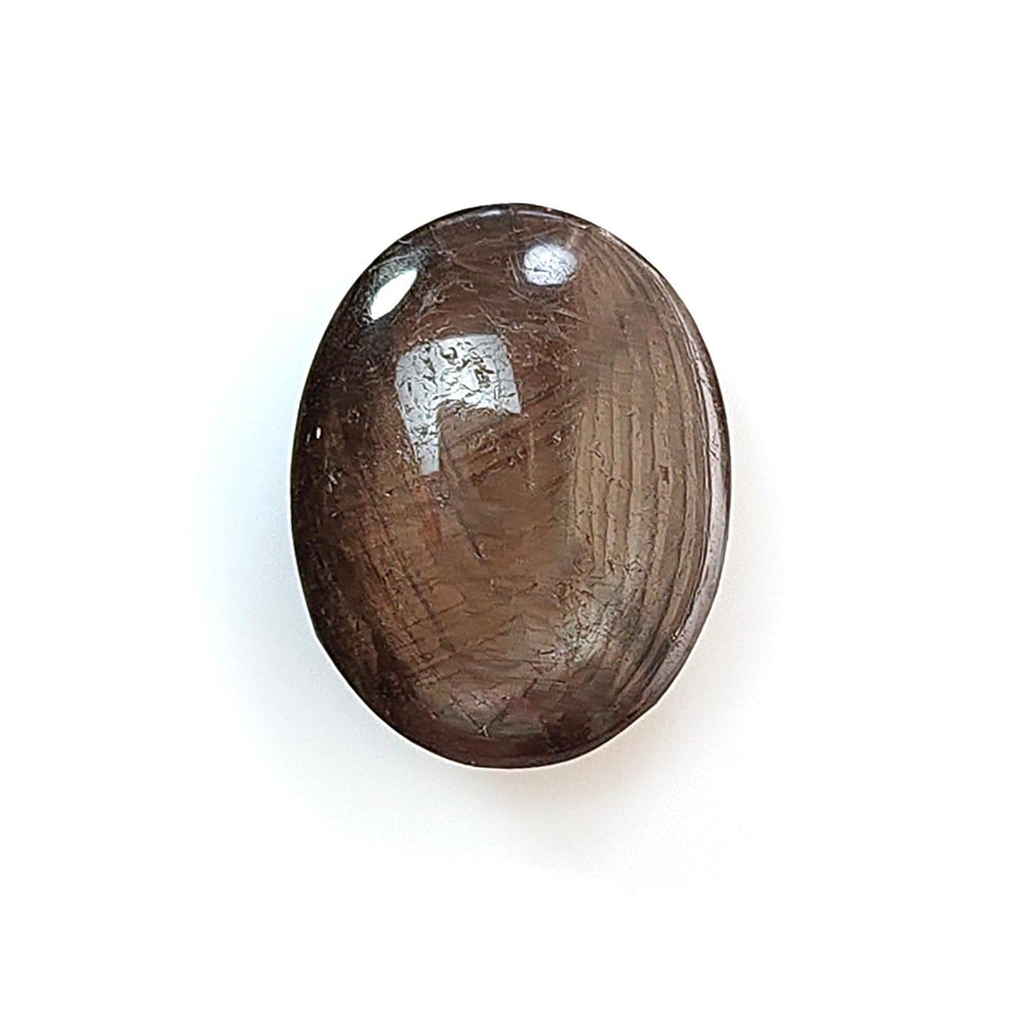 Star Sapphire Gemstone Cabochon: 25.00cts Natural Untreated Golden Brown Chocolate 6Ray Star Sapphire Oval Shape 19*15mm 1pc For Jewelry