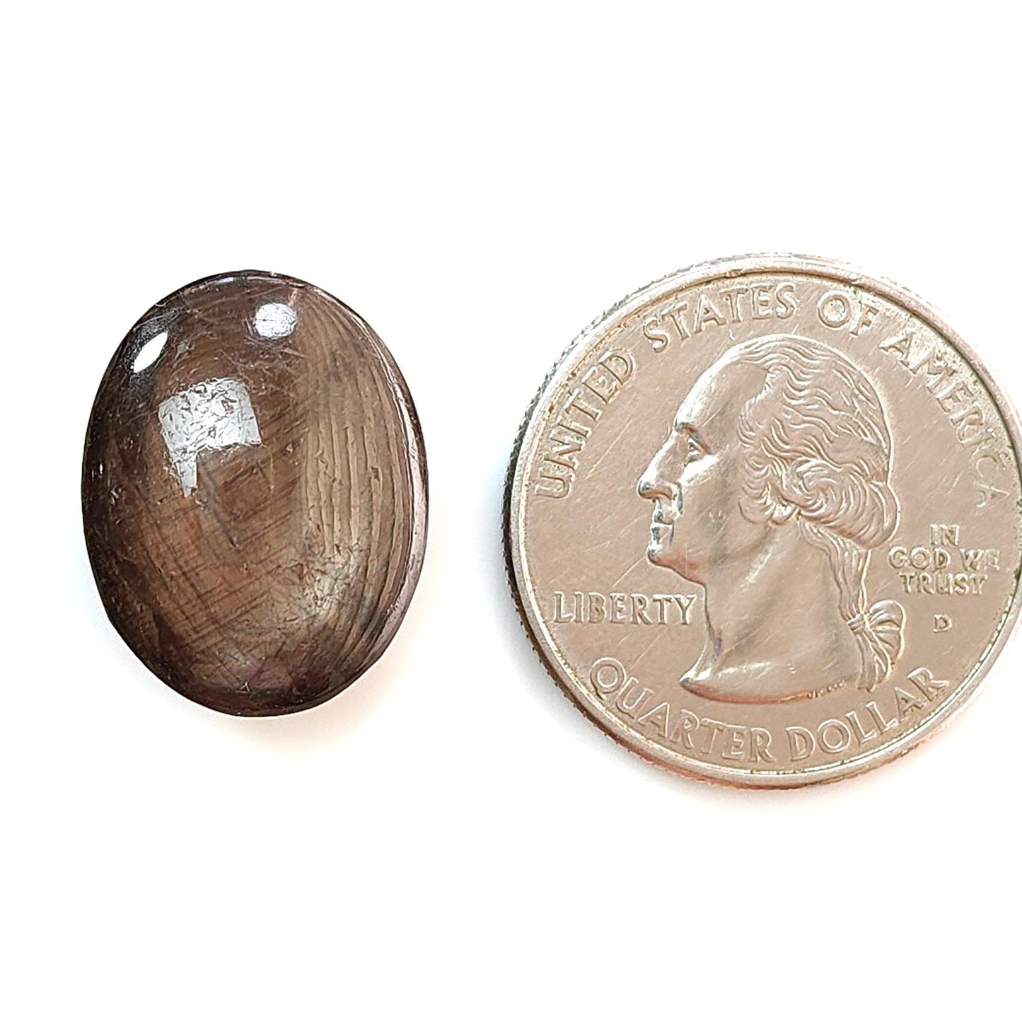 Star Sapphire Gemstone Cabochon: 25.00cts Natural Untreated Golden Brown Chocolate 6Ray Star Sapphire Oval Shape 19*15mm 1pc For Jewelry