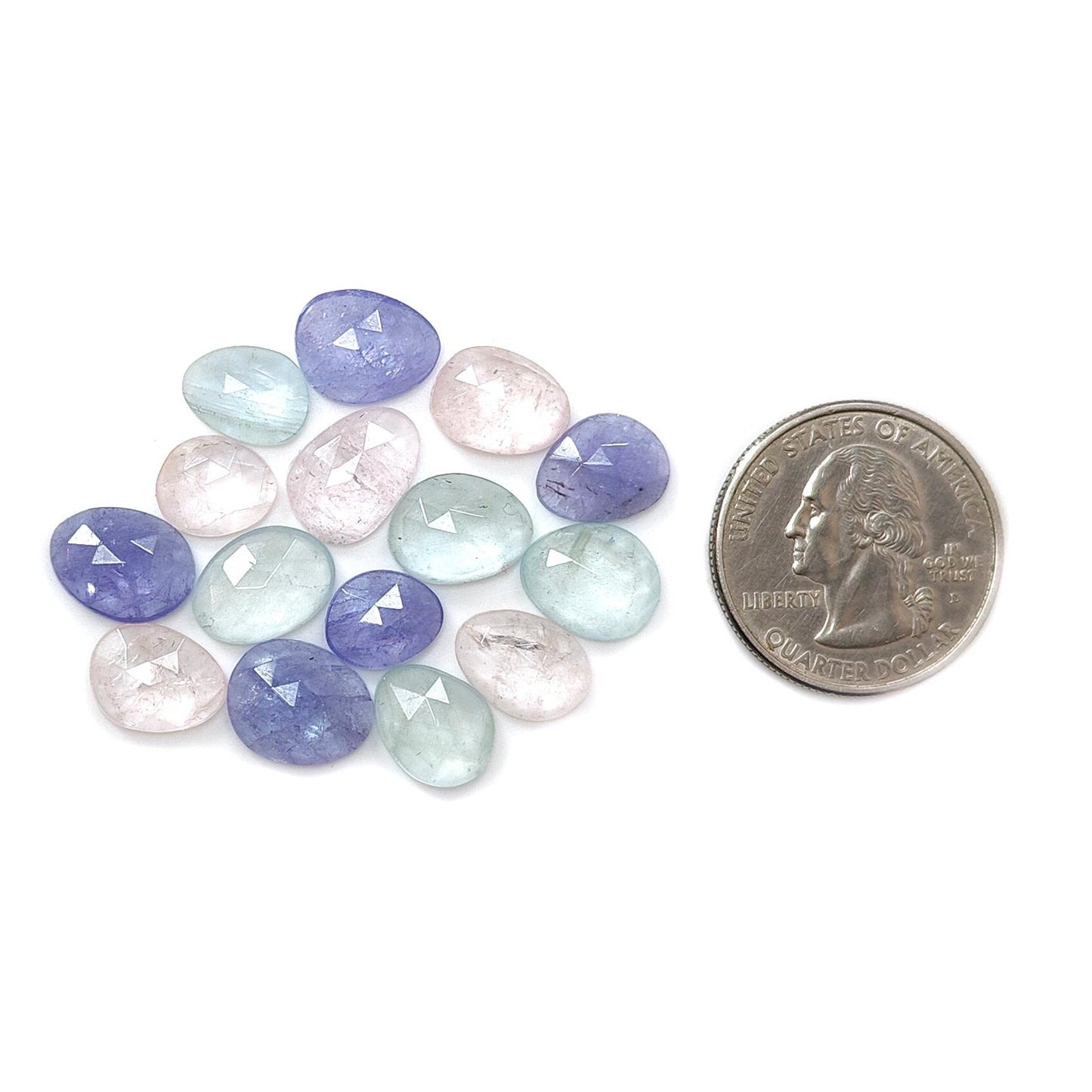 Garnet, Chrome Diopside, Moonstone, Tanzanite, Morganite & Aquamarine Rose Cut Slices: Natural Untreated Gemstones Fancy Shape Faceted Lots