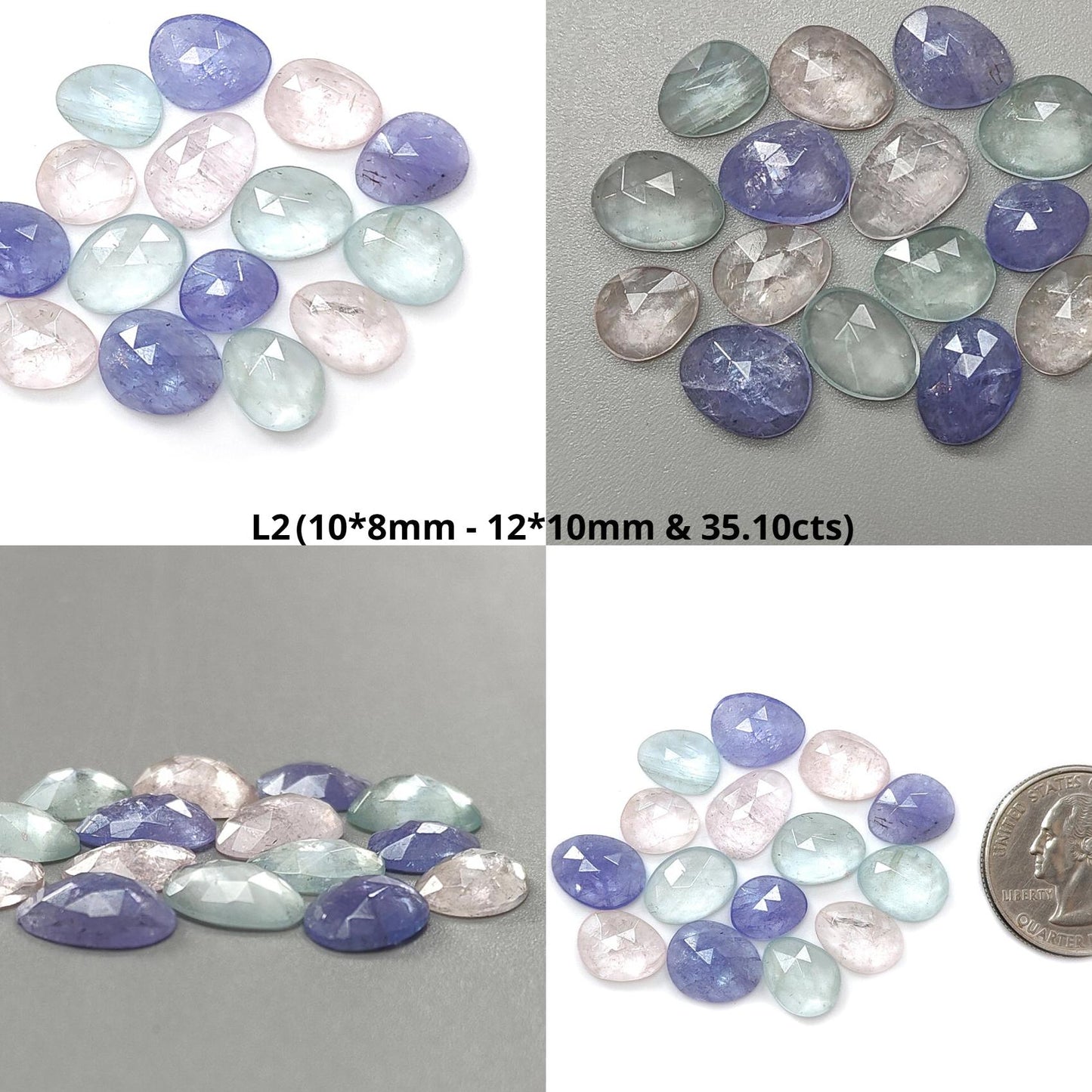 Garnet, Chrome Diopside, Moonstone, Tanzanite, Morganite & Aquamarine Rose Cut Slices: Natural Untreated Gemstones Fancy Shape Faceted Lots