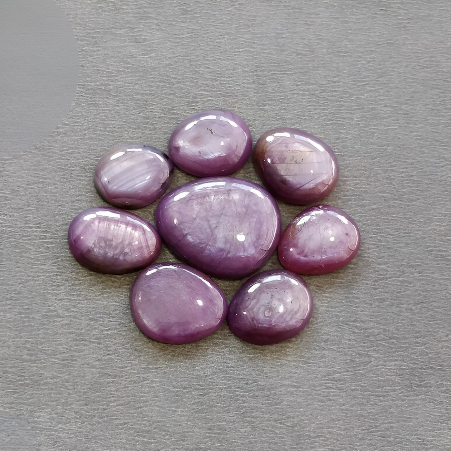 55.80cts Natural Untreated Star Ruby Gemstone Egg Shape Cabochon 12*10mm - 19*16mm 8pcs