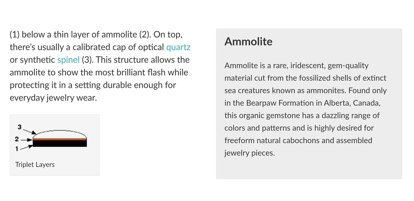 AMMOLITE Gemstone Cabochon : Natural Fossilized Shell Bi-Color Ammolite Uneven Shape Cabochon 23*14mm - 36*16mm 1pc