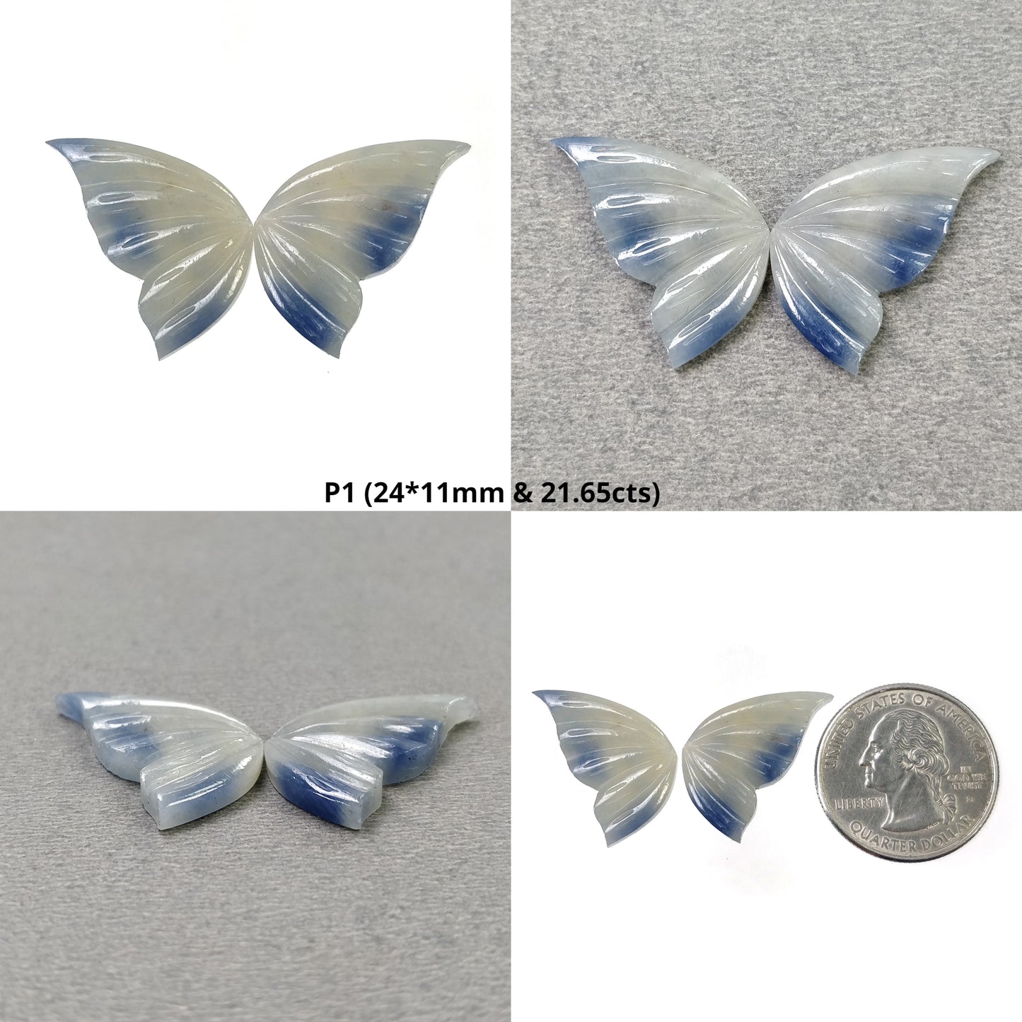 Bi-Color Butterfly