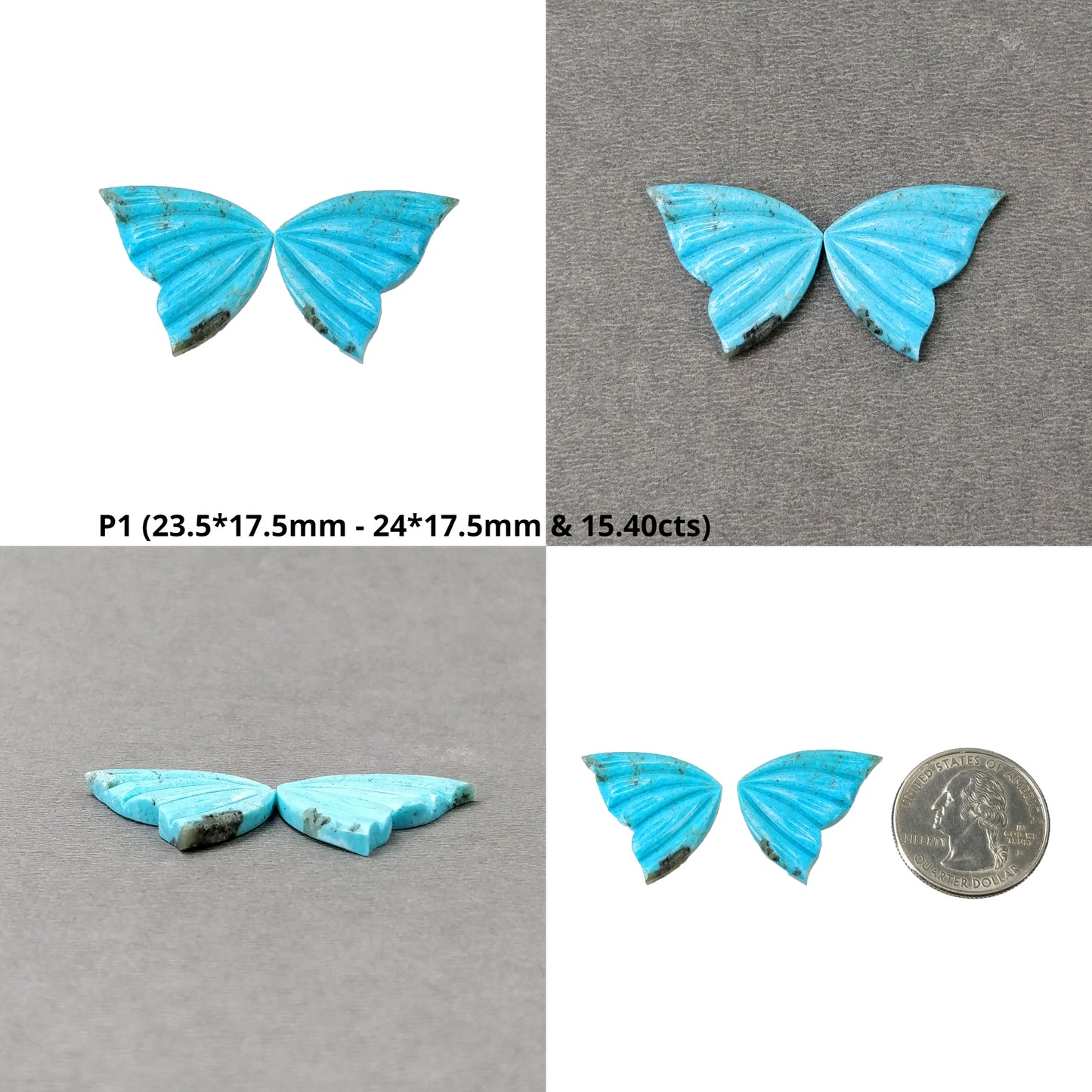 Turquoise Butterfly