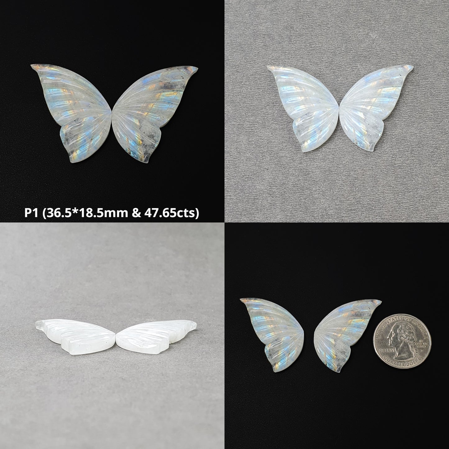 Moonstone Butterfly