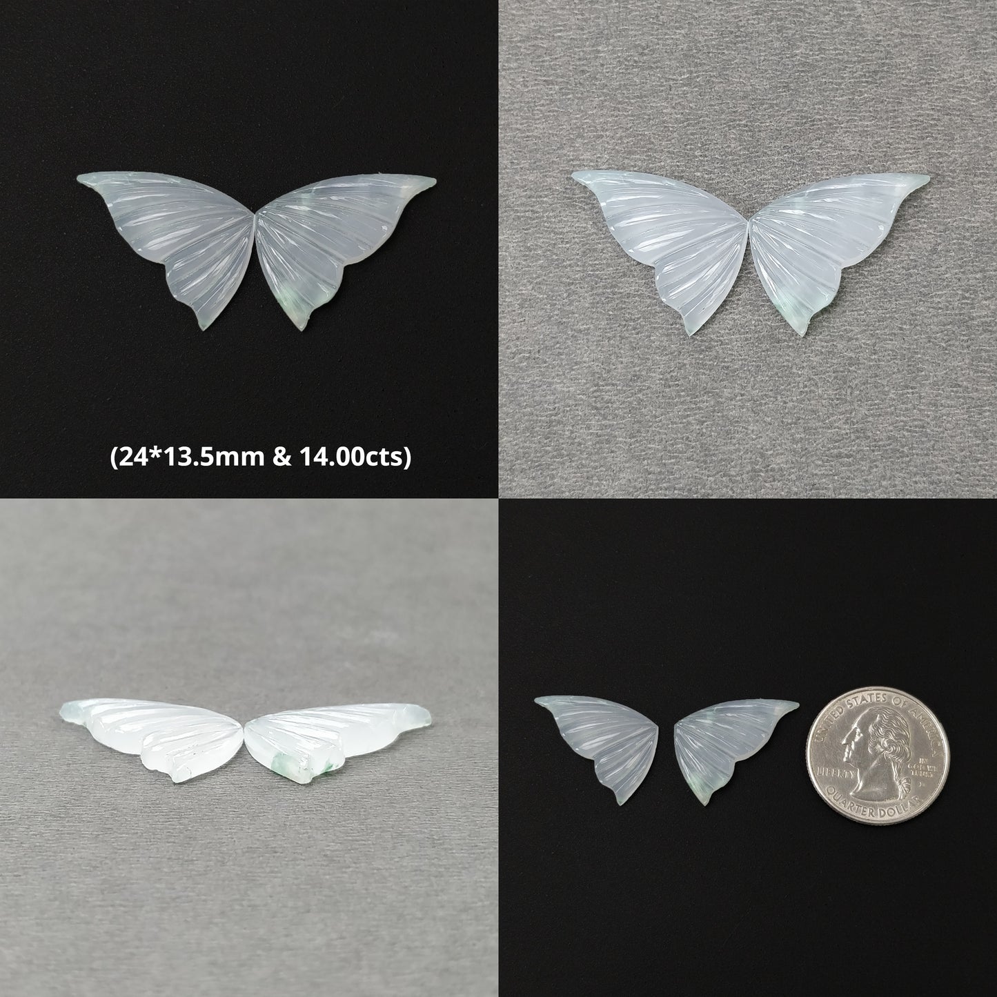 Butterfly's Pair