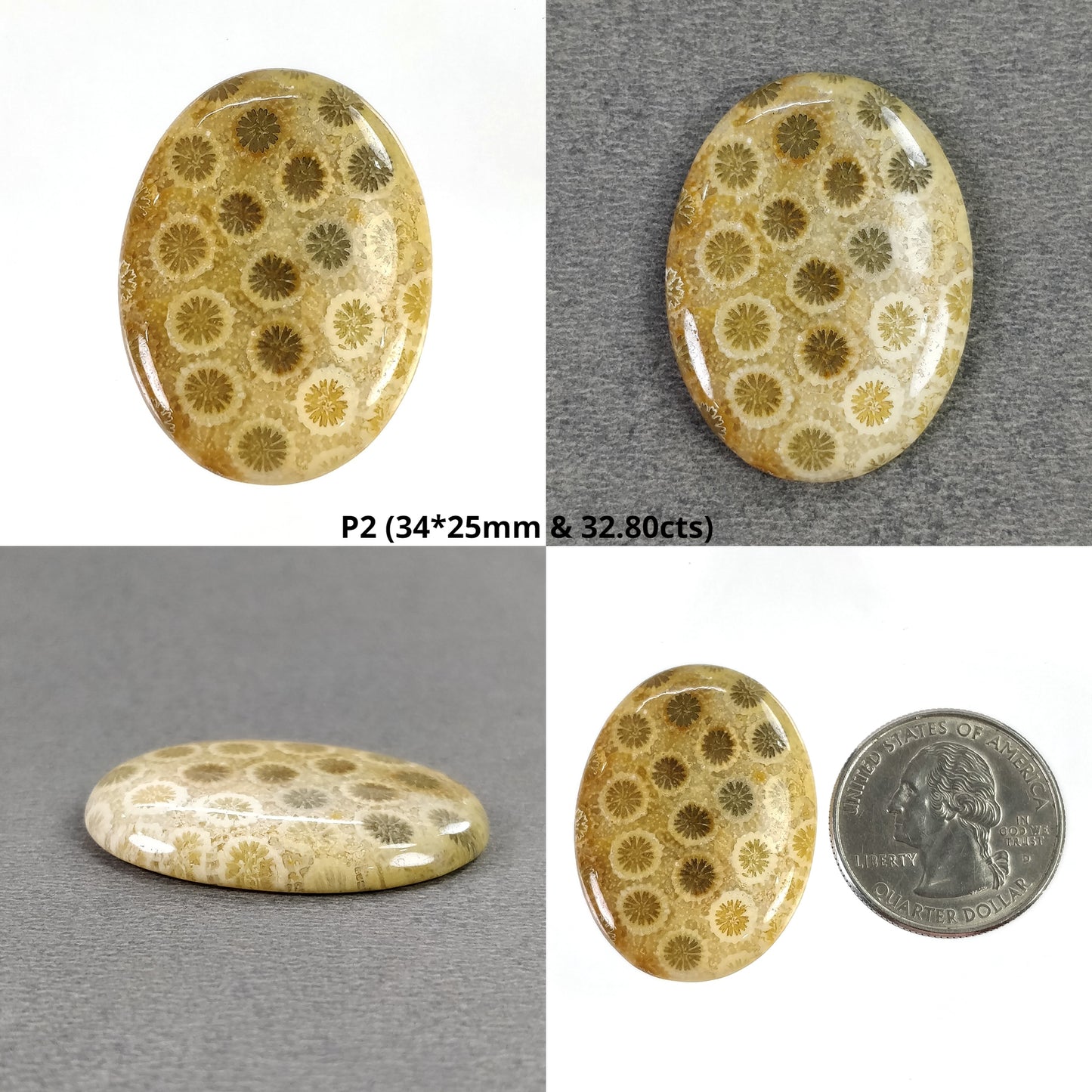 Oval Coral