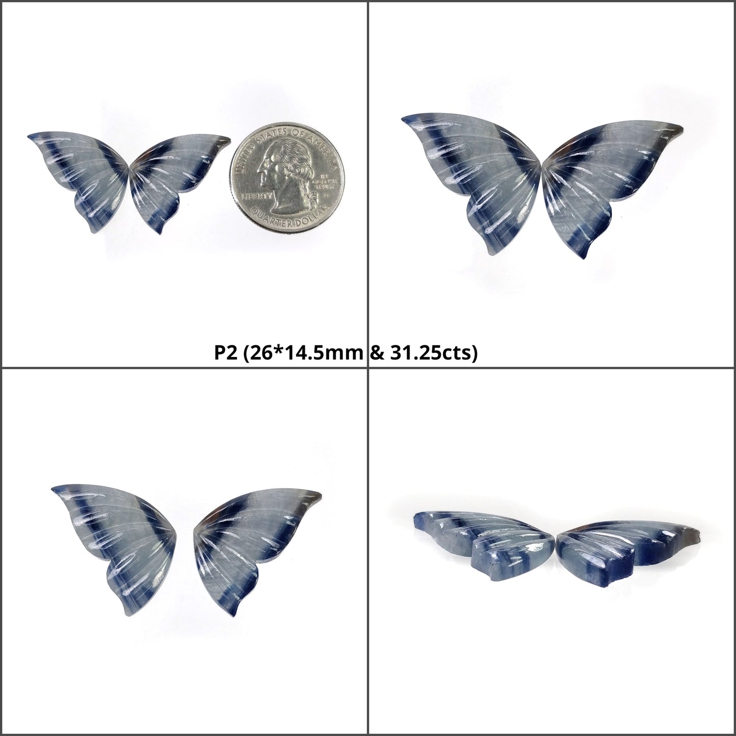 Bi-Color Butterfly
