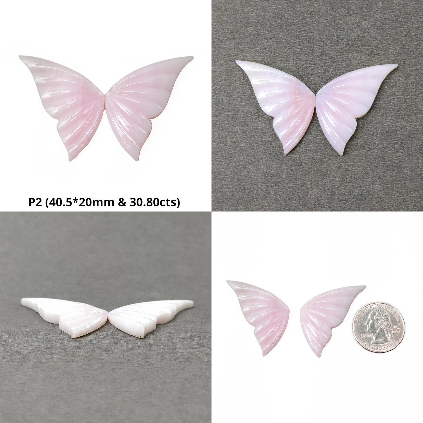 Butterfly Pair