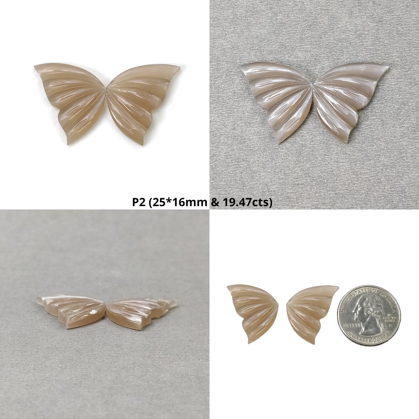 Moonstone Butterfly
