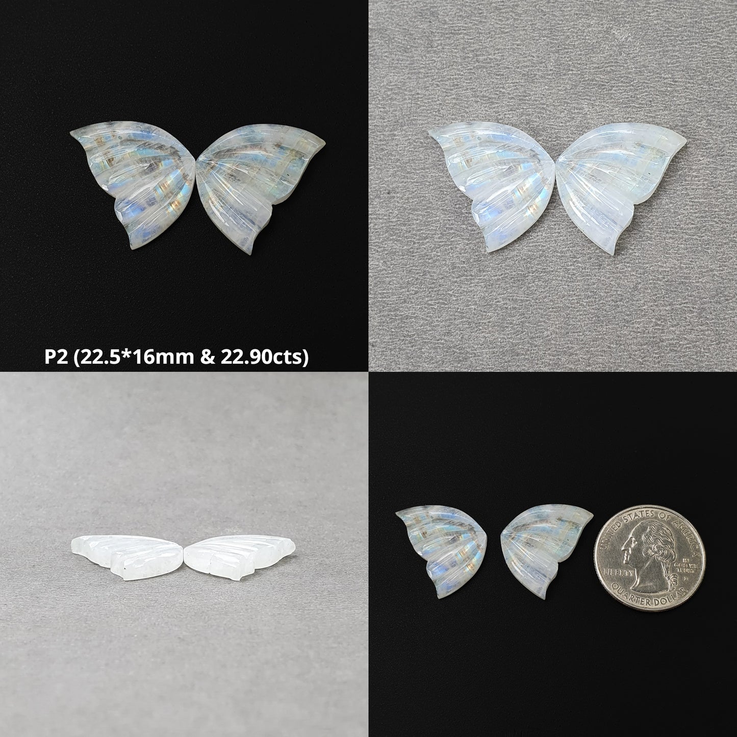 Butterfly Carving