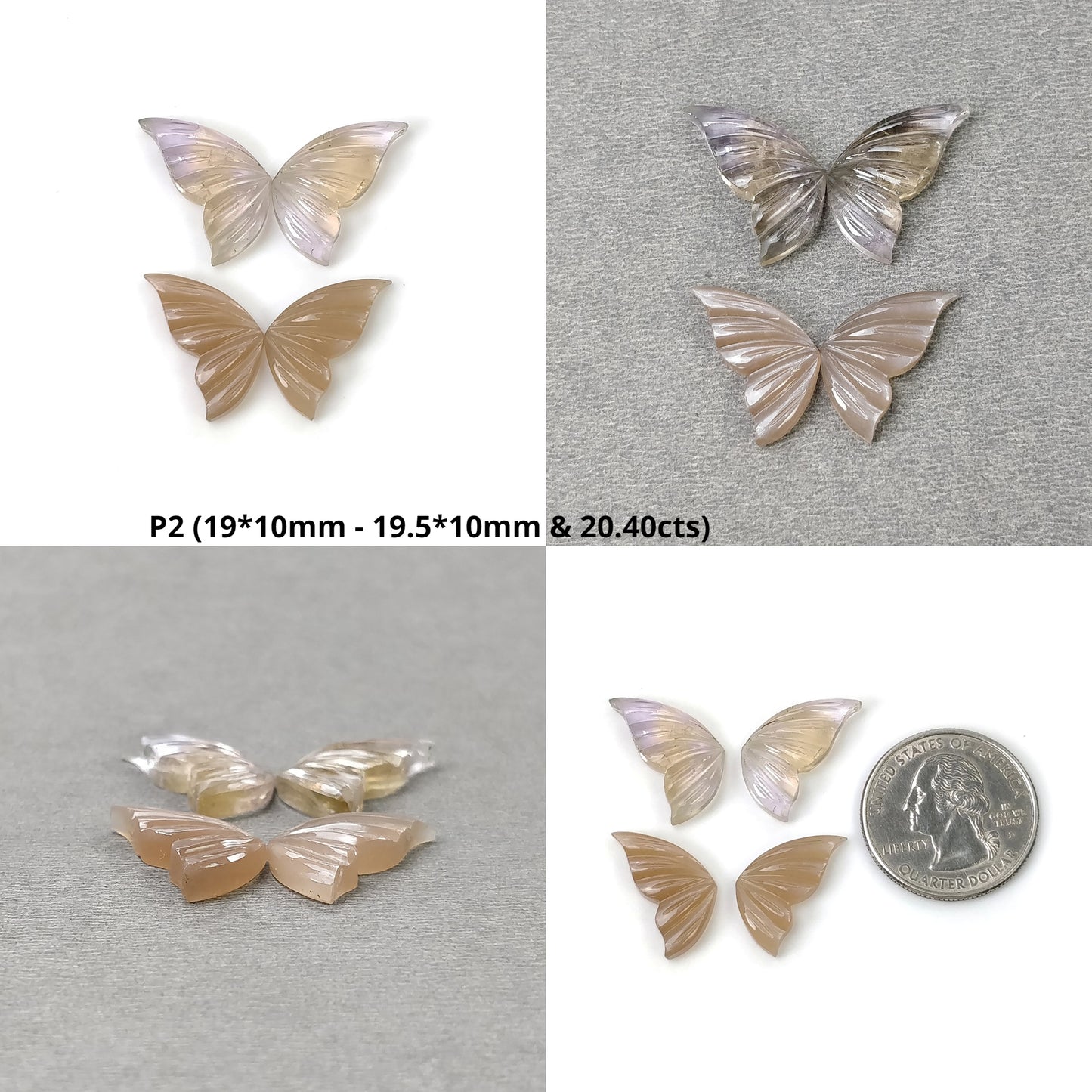 Ametrine Buytterfly