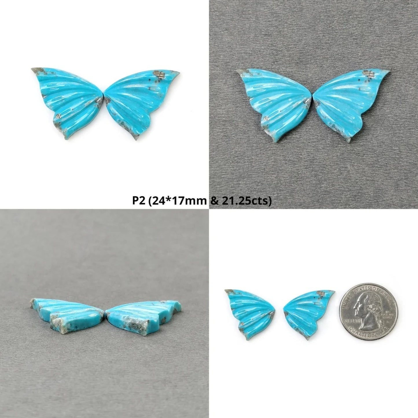 Turquoise Butterfly