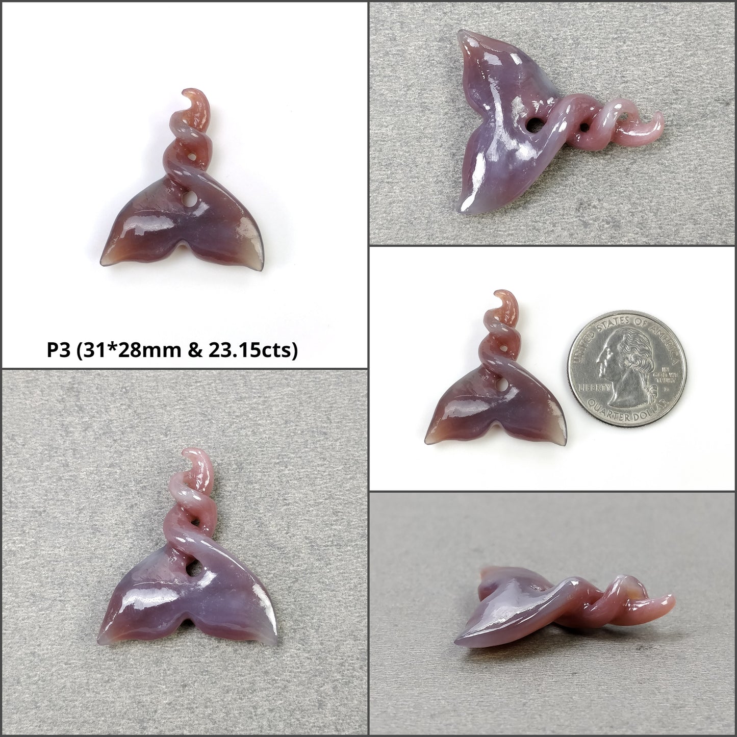 Sea Shell