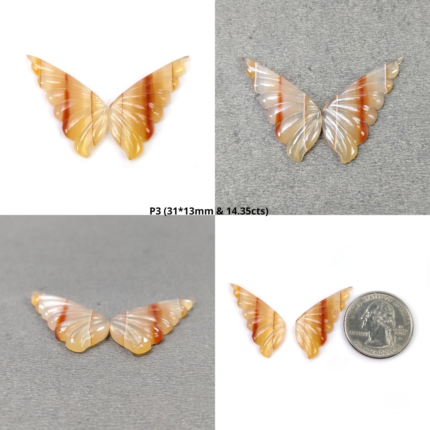Butterfly's Pair