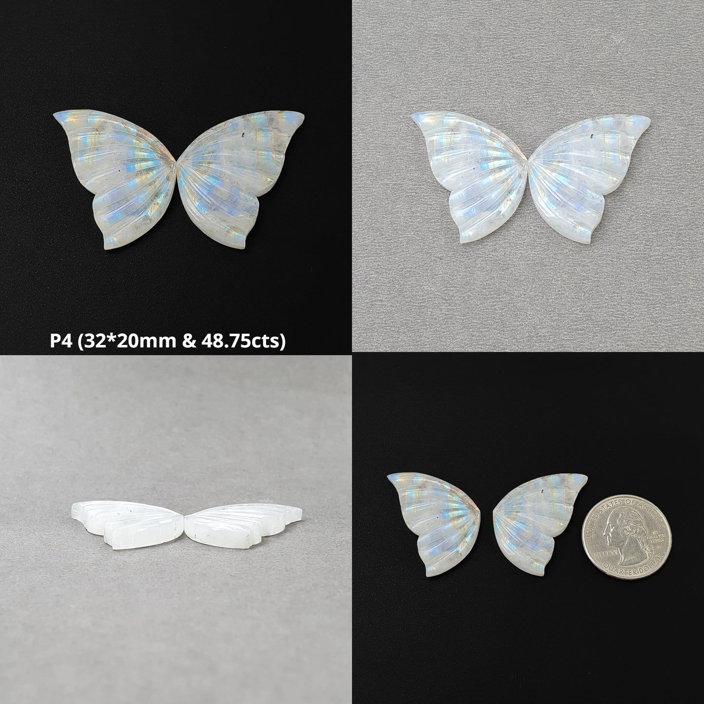 Rainbow Butterfly