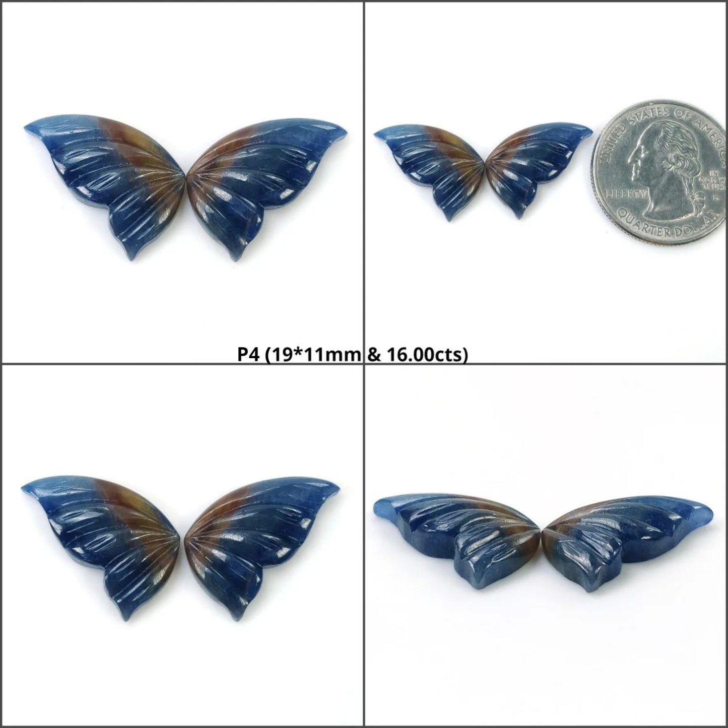Bi-Color Butterfly