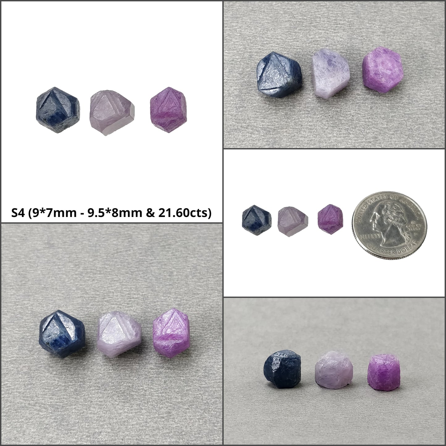 Blue Sapphire Record Keeper
