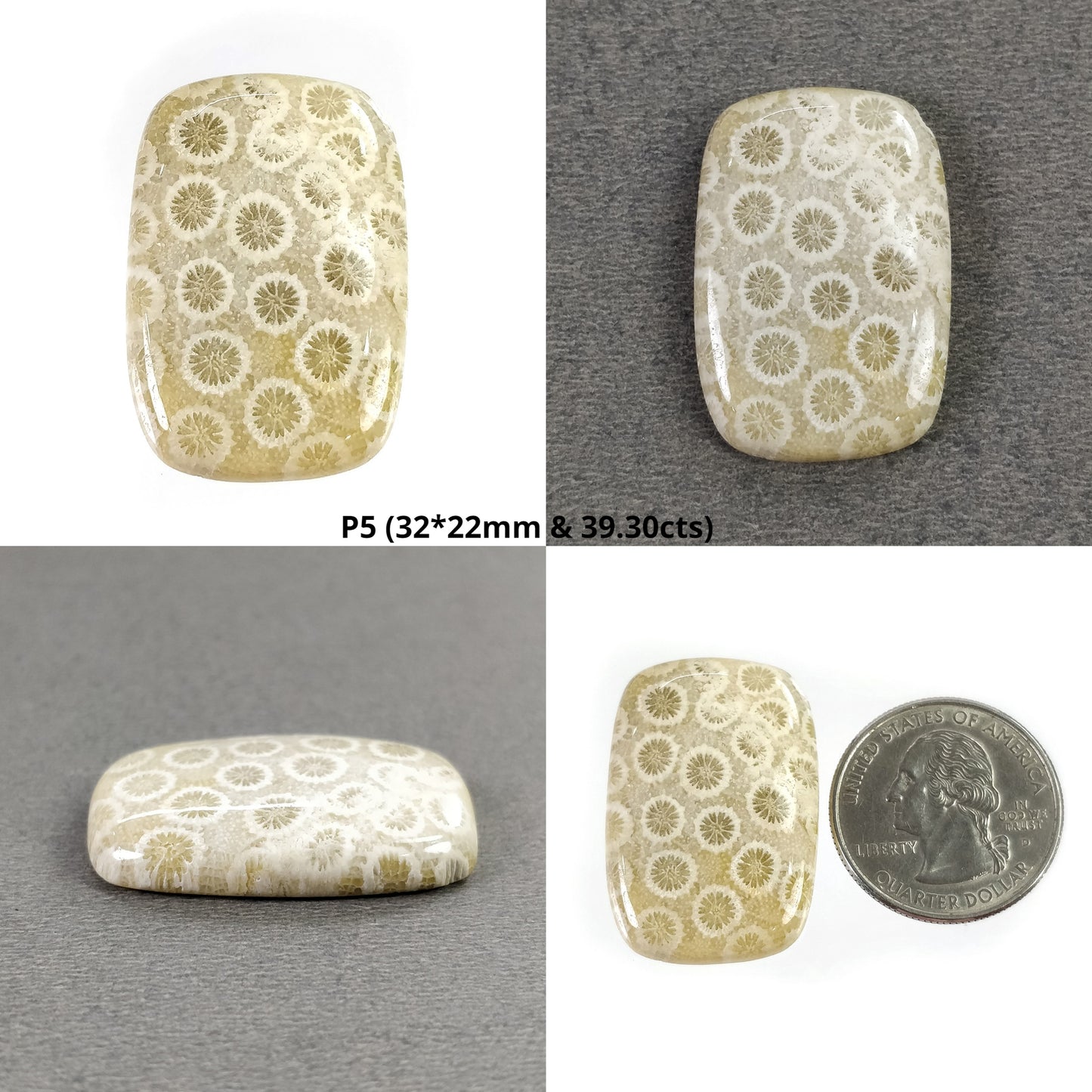 Coral Cabochon