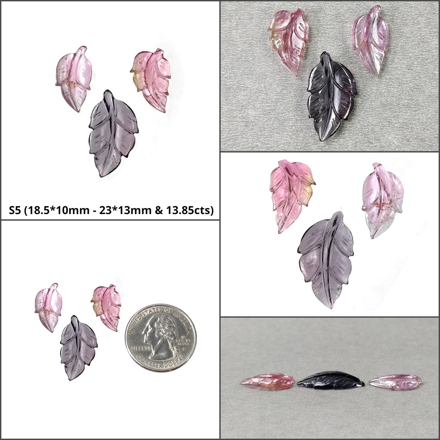 Bi-Color Leaves