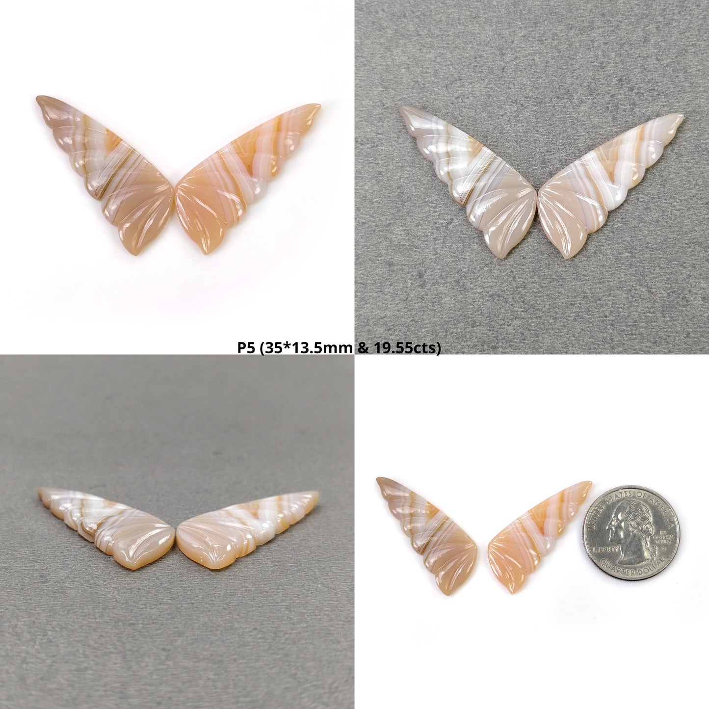 Butterfly's Pair