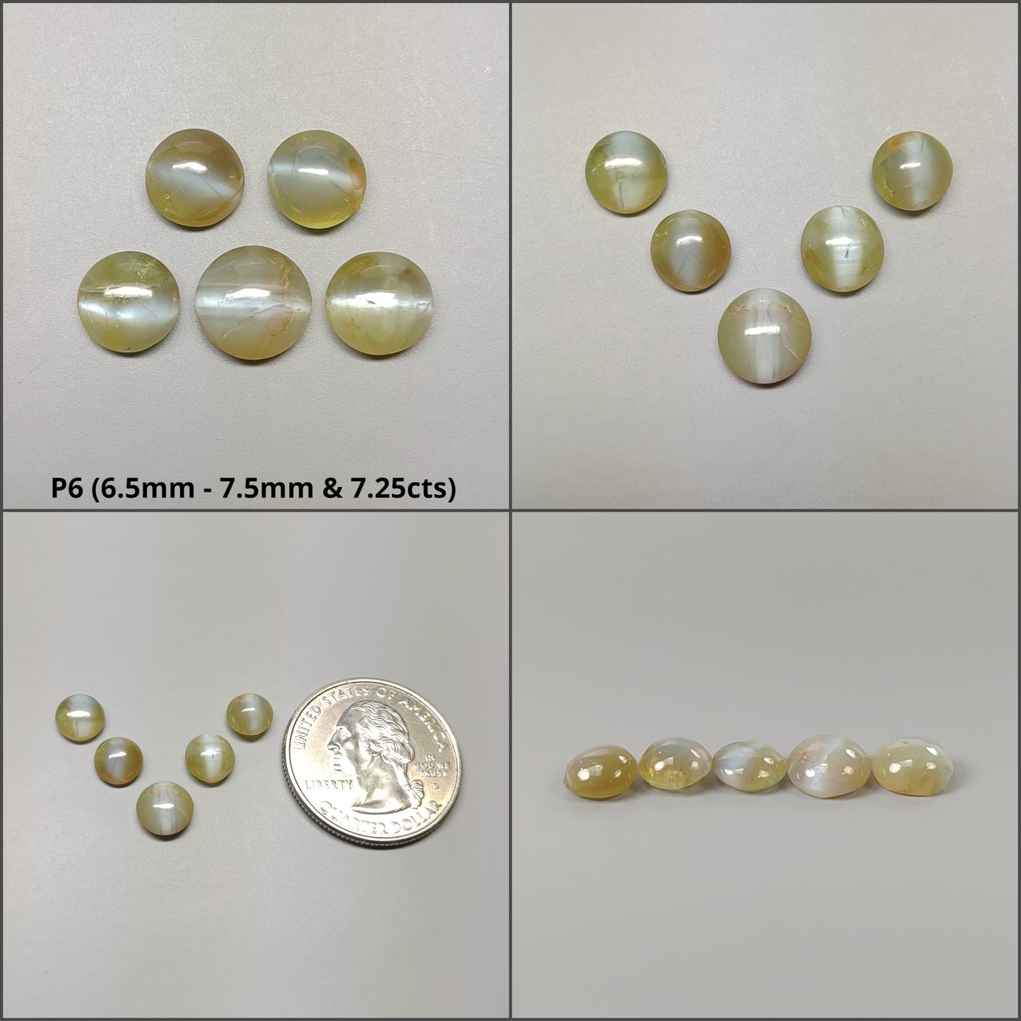 Cat's Eye Lot