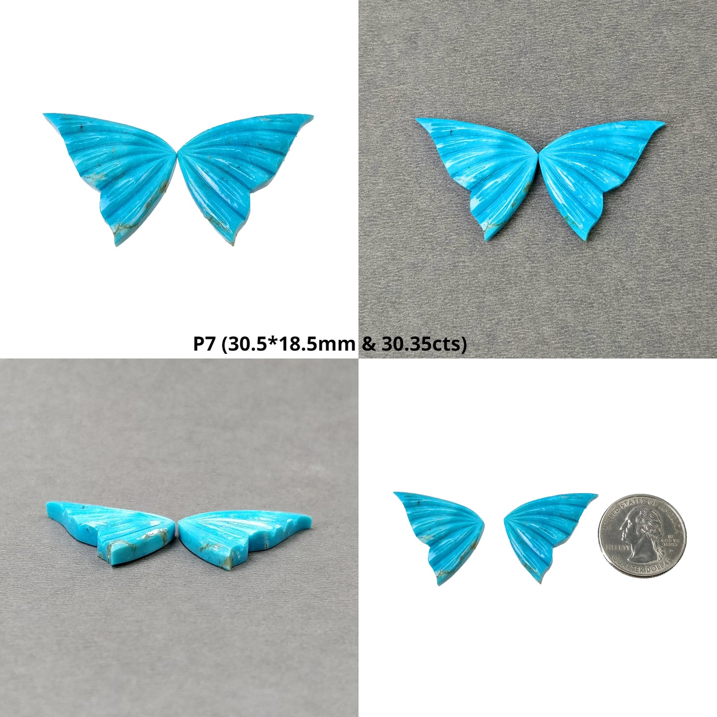 Turquoise Butterfly