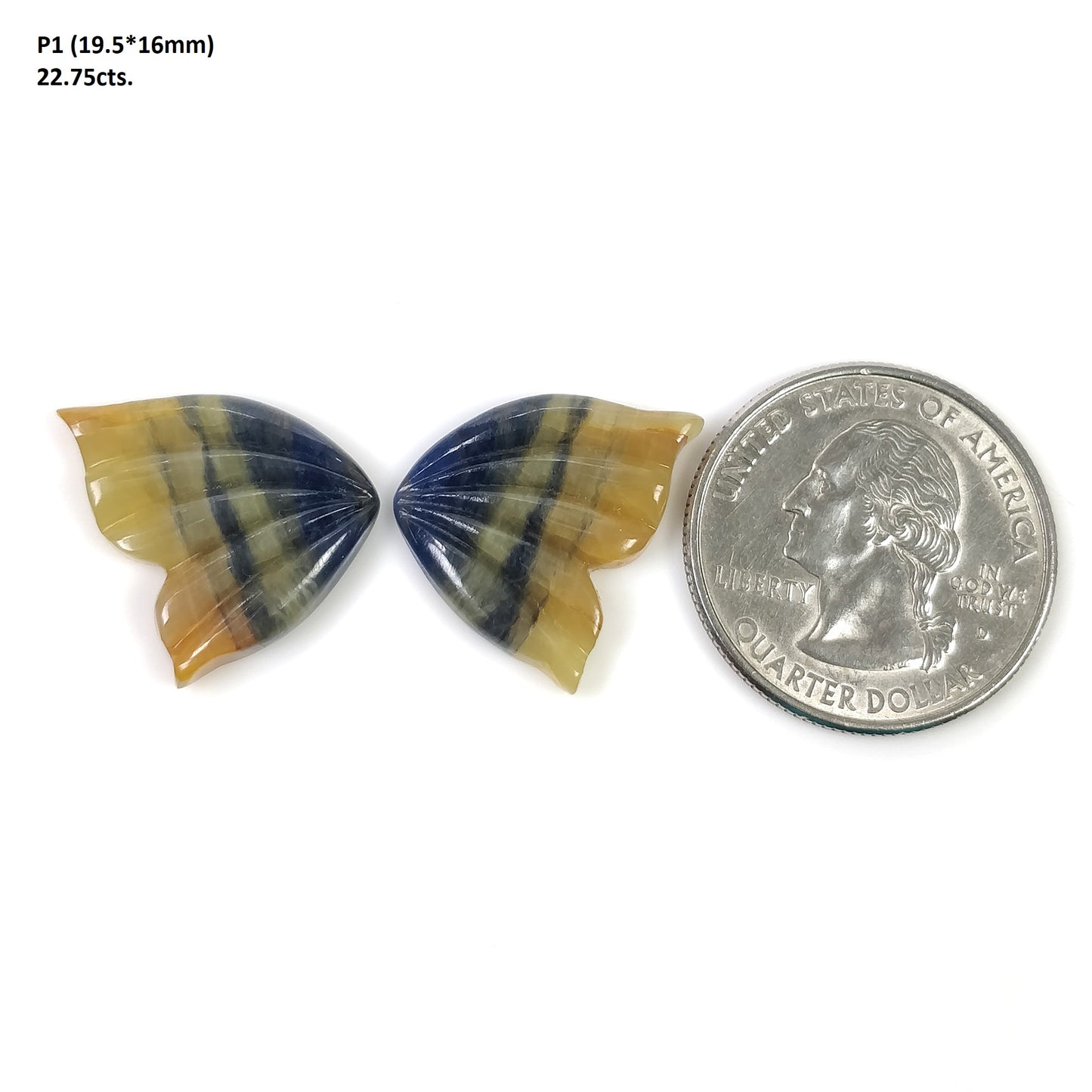 Sapphire Butterfly