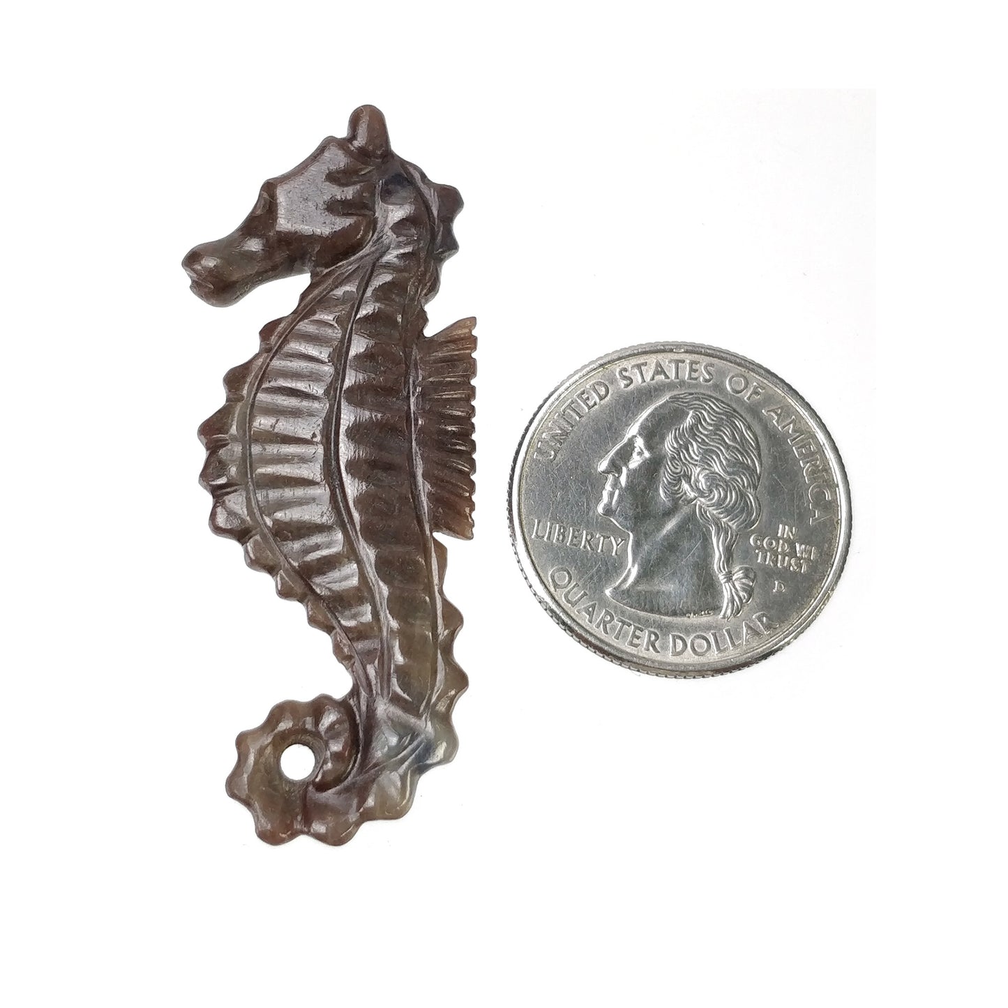 Sea Horse