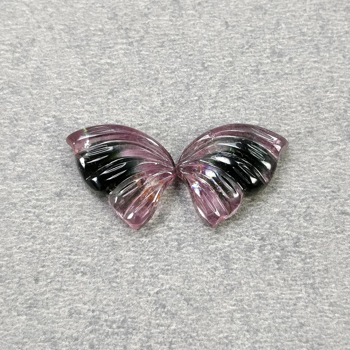 Butterfly's Pair