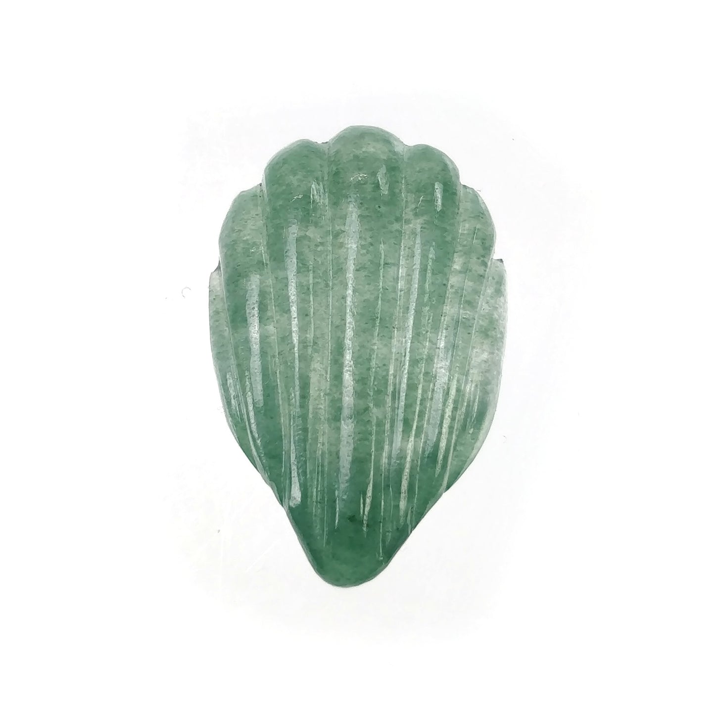 Quartzite Sea Shell
