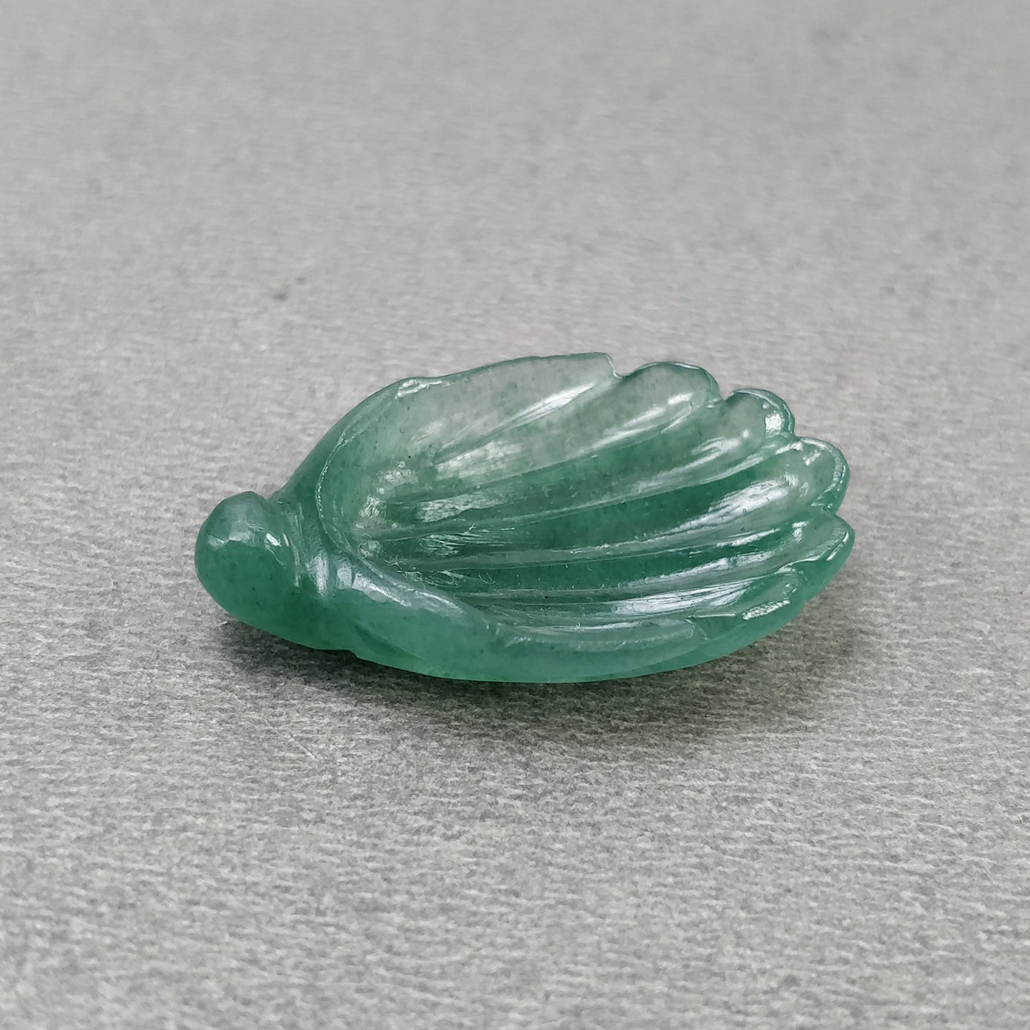 Green Sea Shell