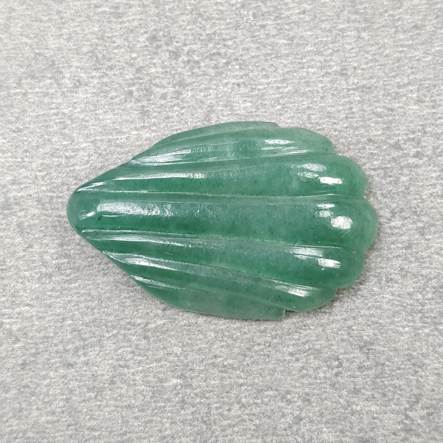 Sea Shell