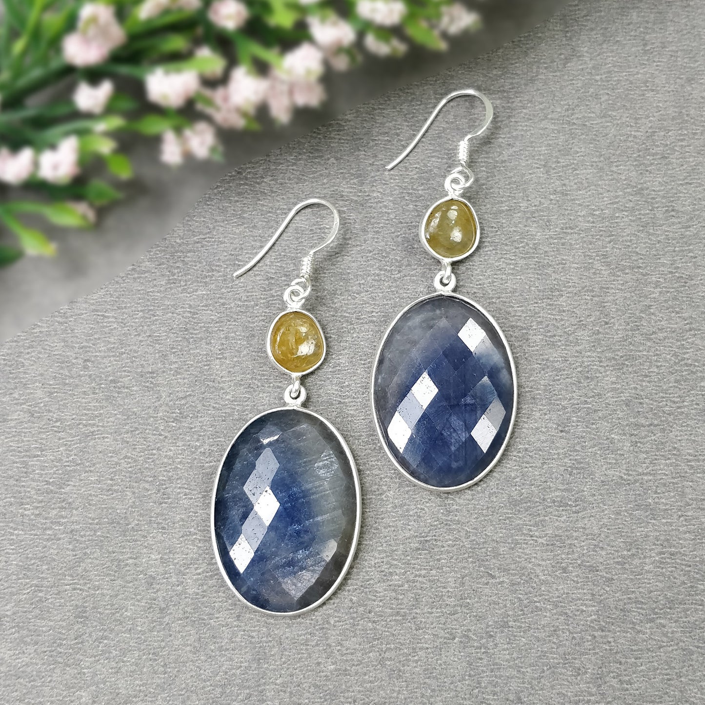Ear Wire Earring