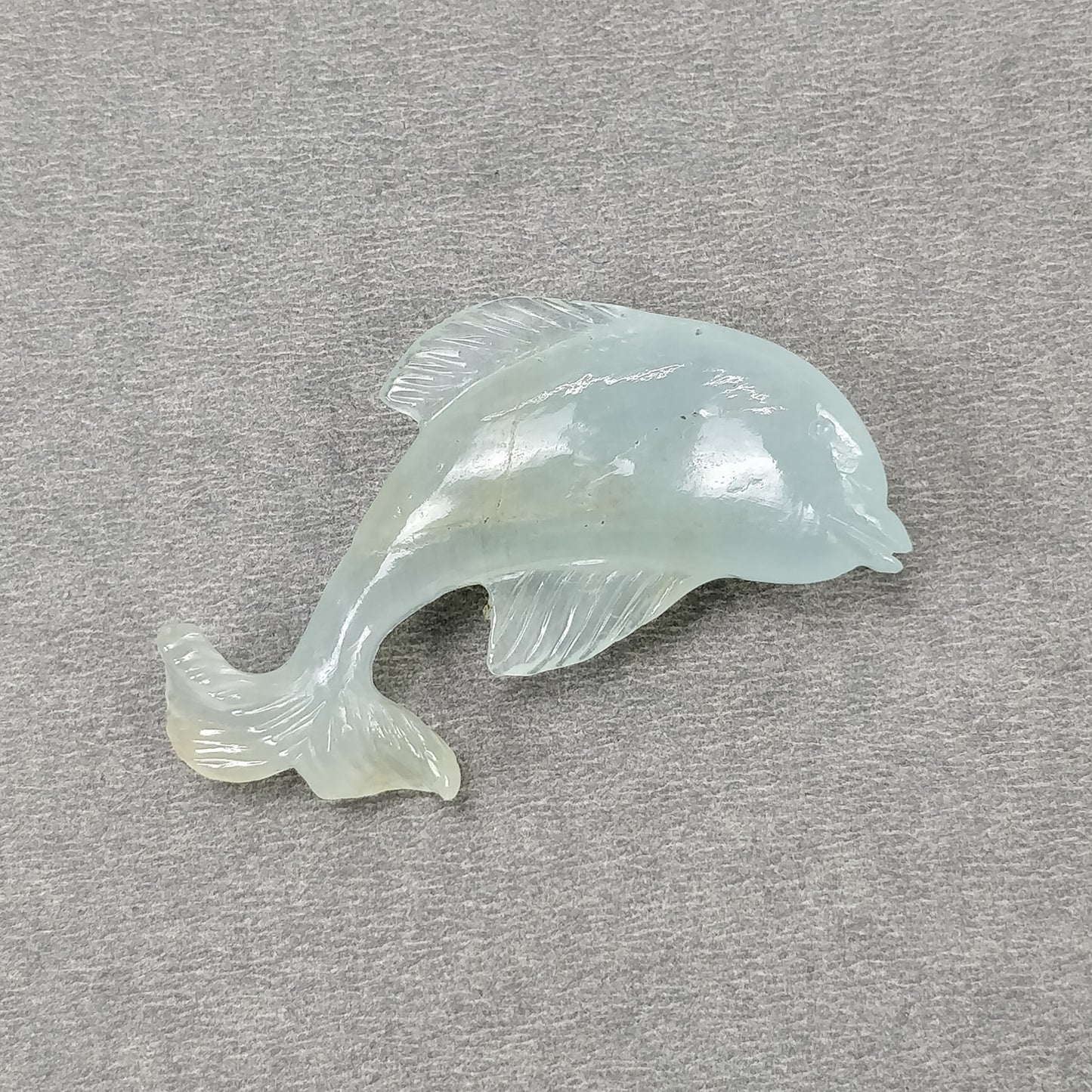 Dolphin