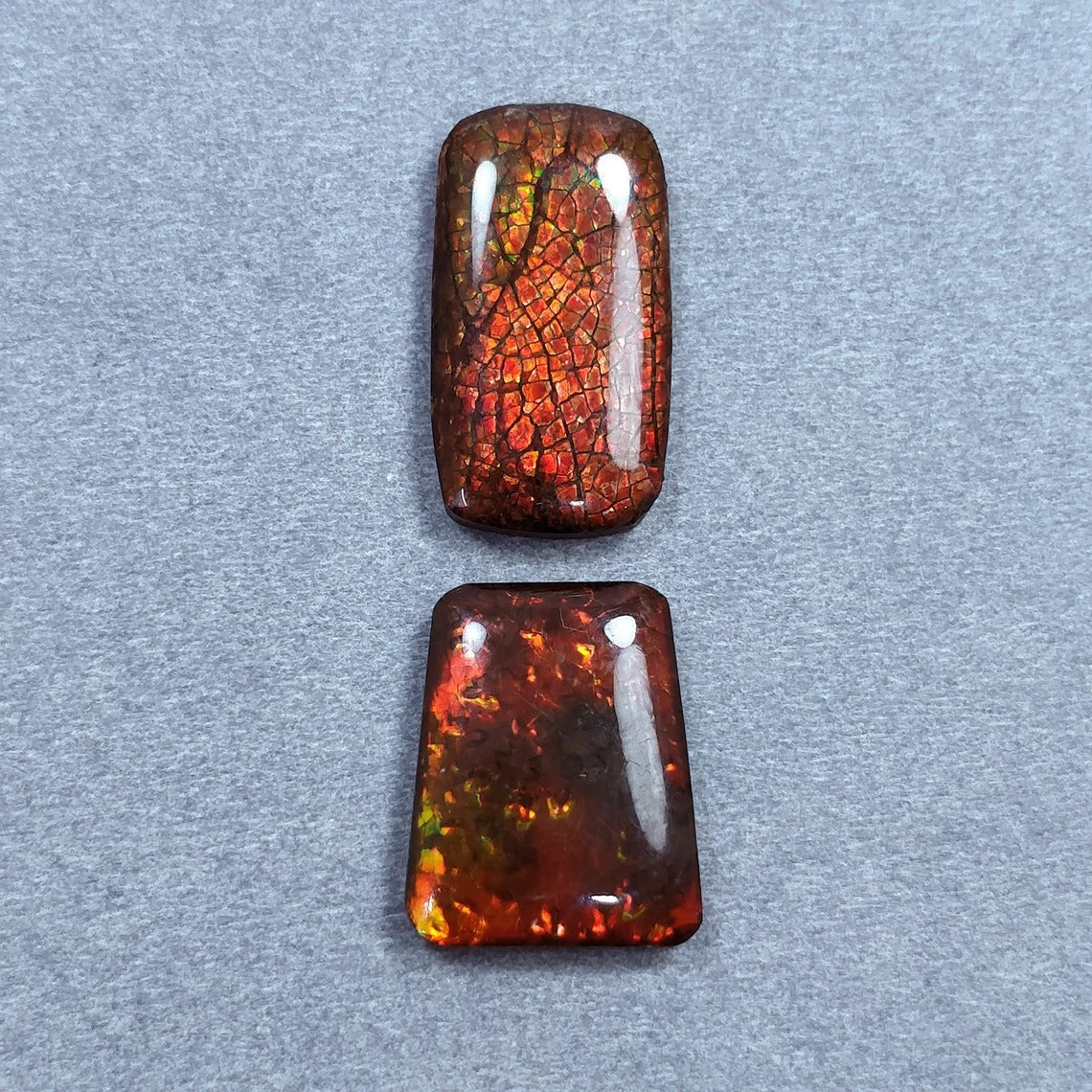 Ammolite Gemstone
