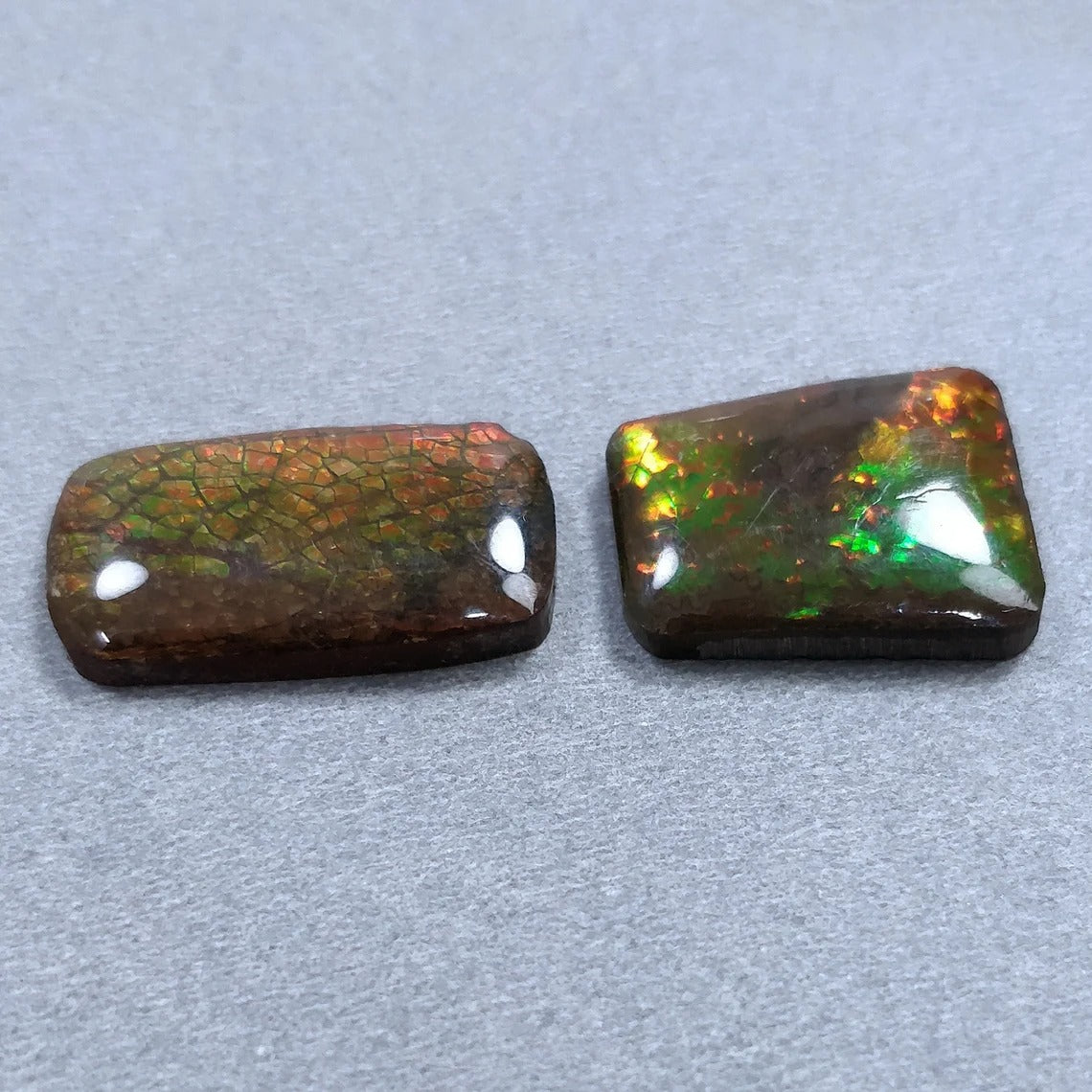 Rare Fire Ammolite
