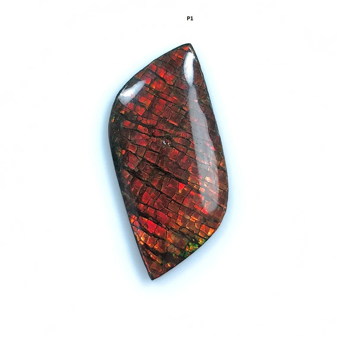 Rare Fire Ammolite