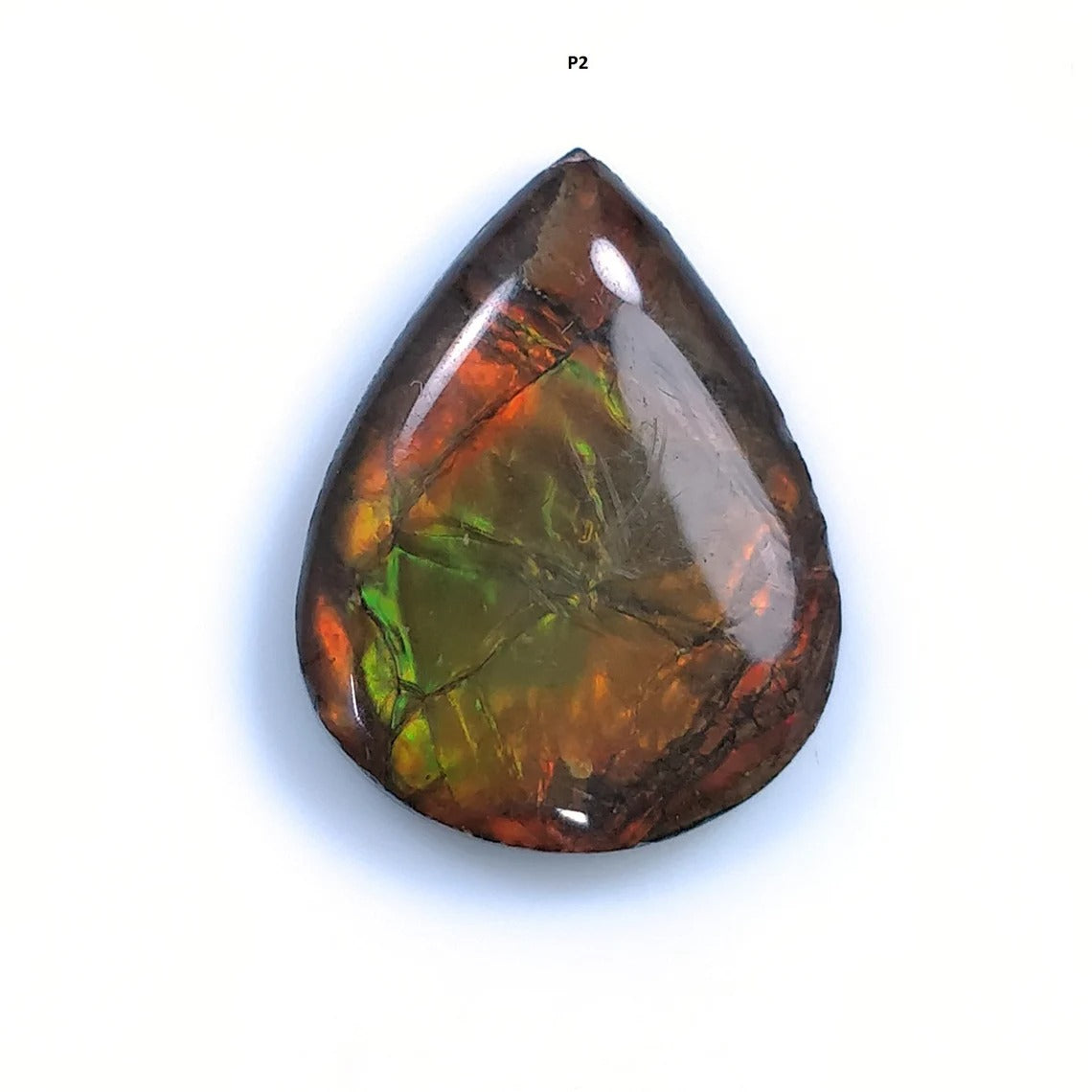 Ammolite Earring