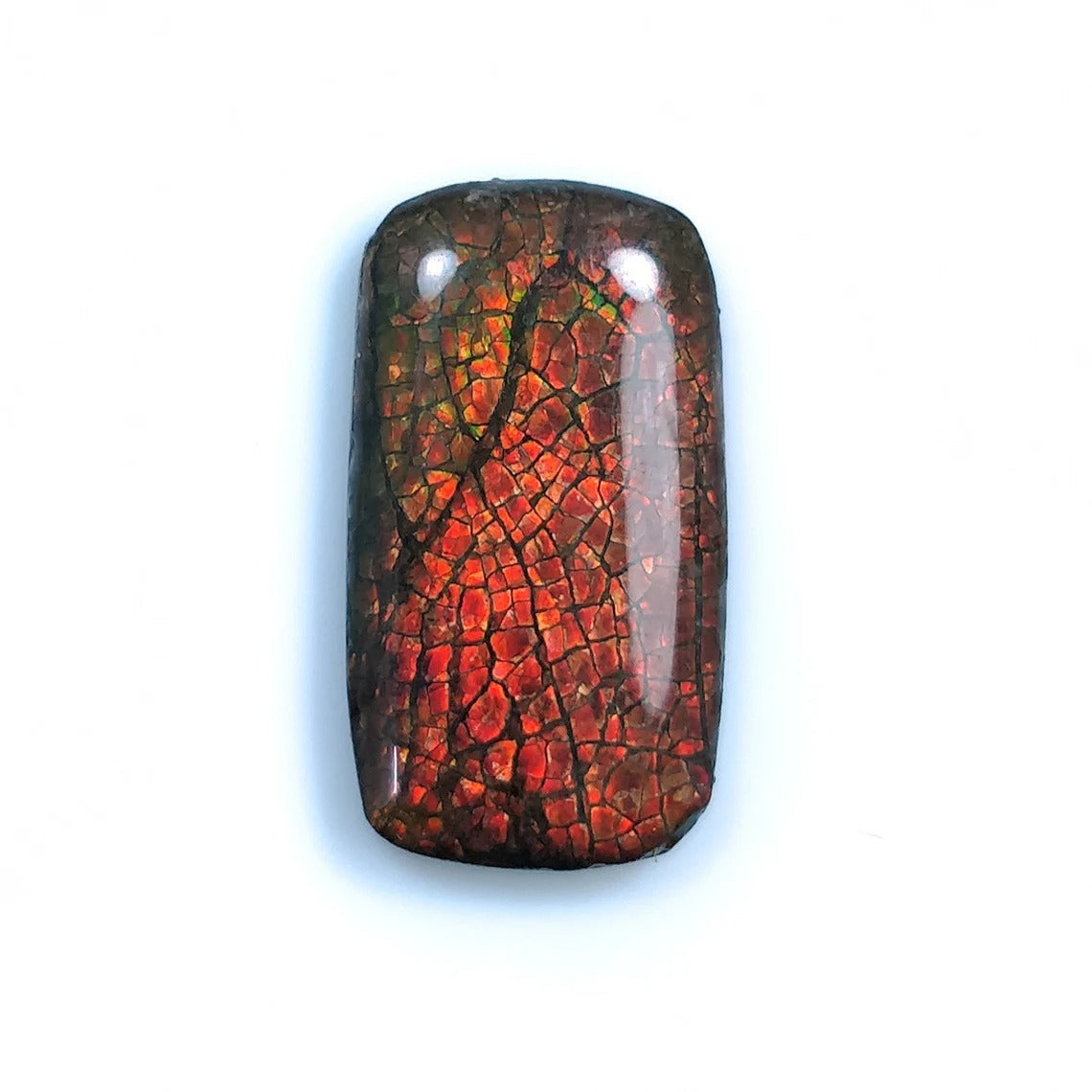 Ammolite Jewelry