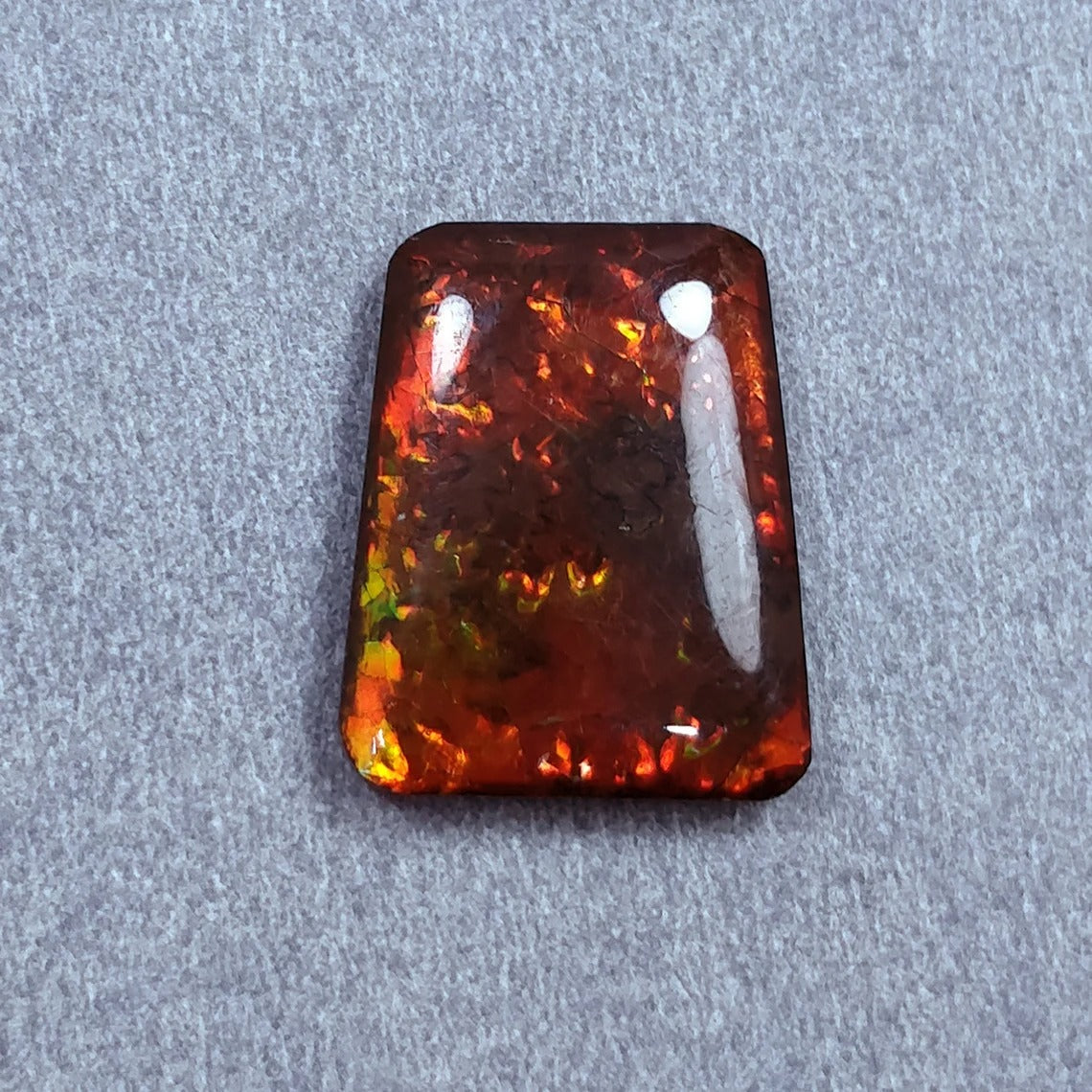 Ammolite Gemstone
