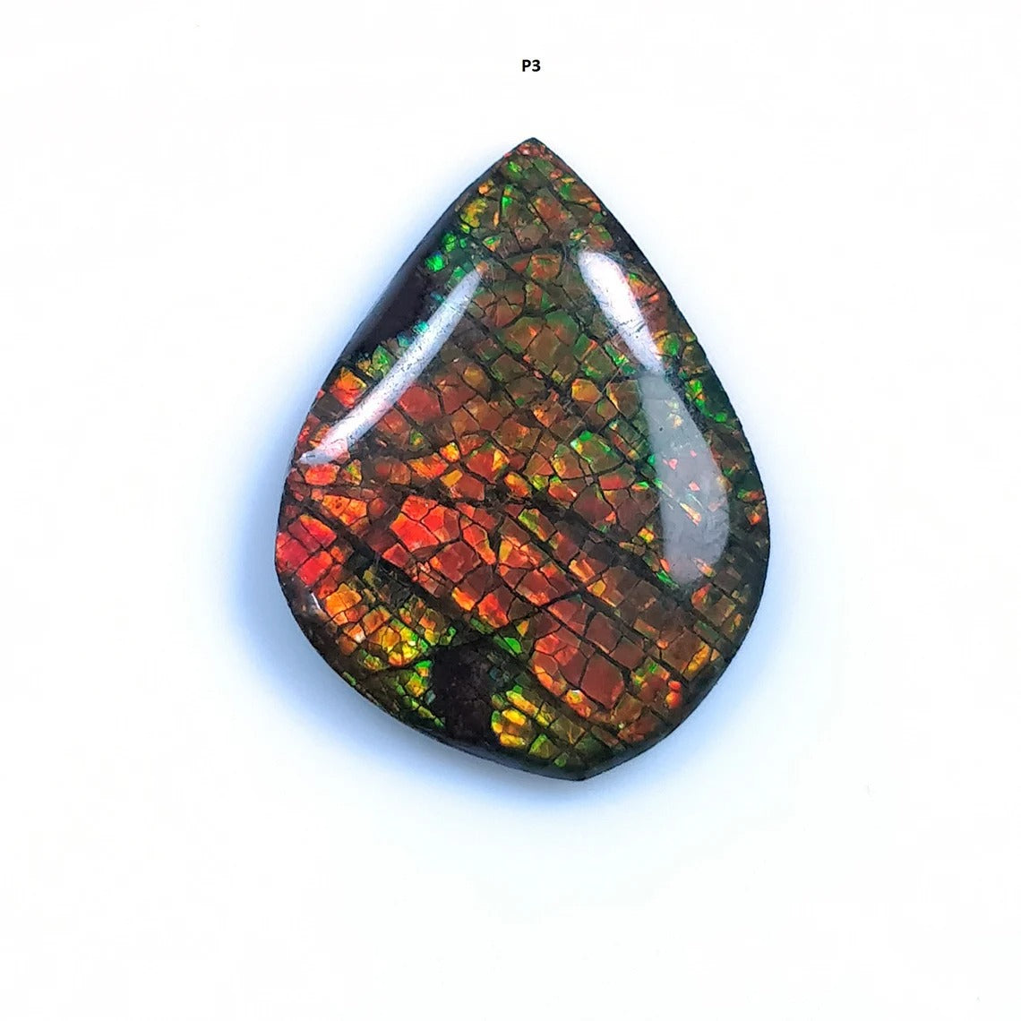 Ammolite Jewelry