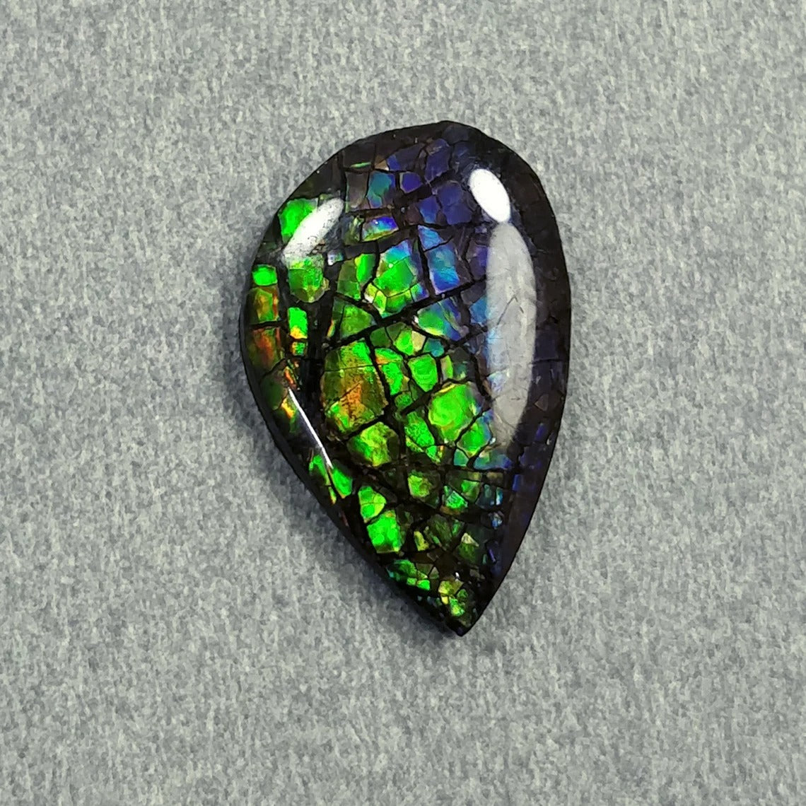 Ammolite Ring