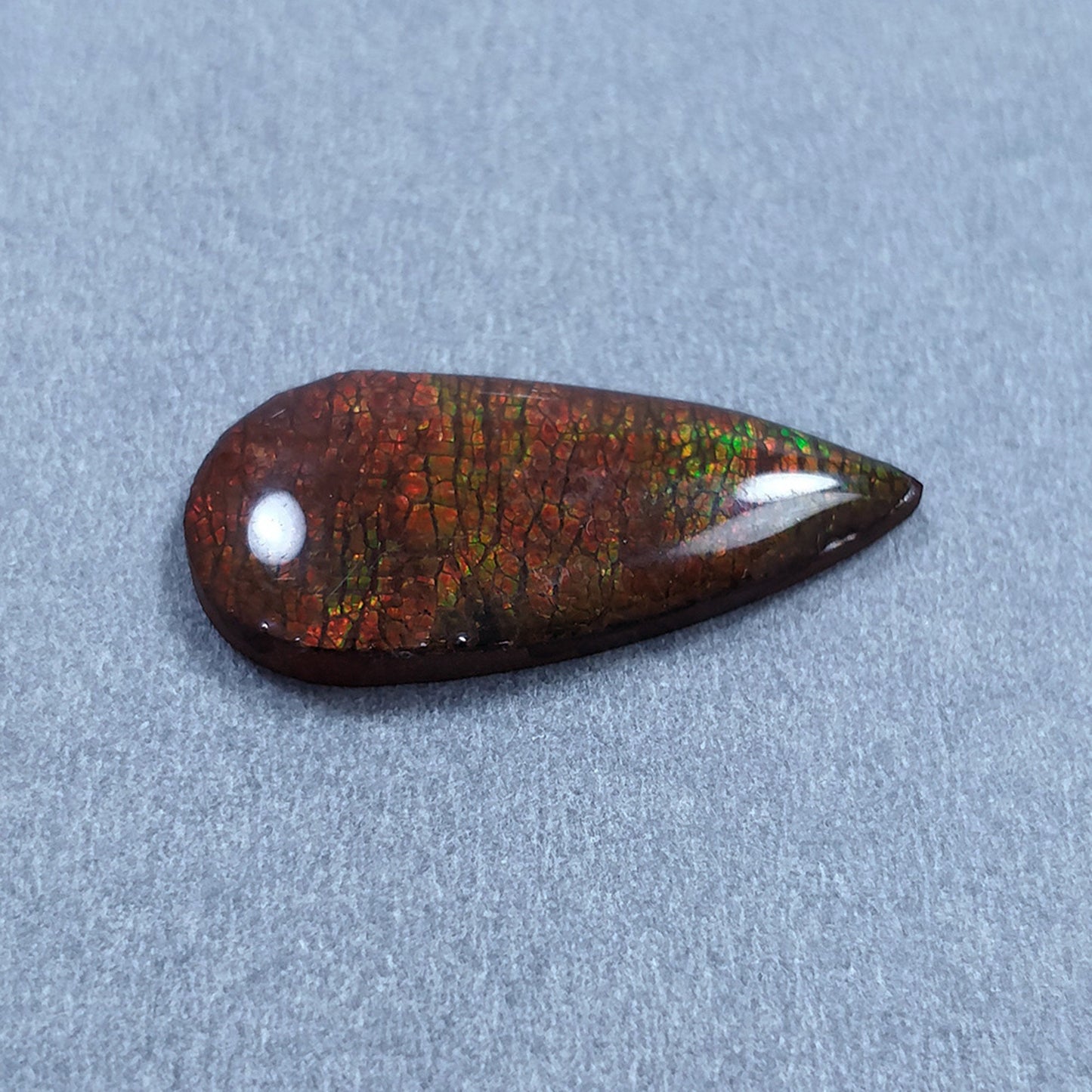 AMMOLITE Gemstone Cabochon : 10.70cts Natural Fossilized Shell Bi-Color Ammolite Pear Shape Cabochon 30*14mm (With Video)