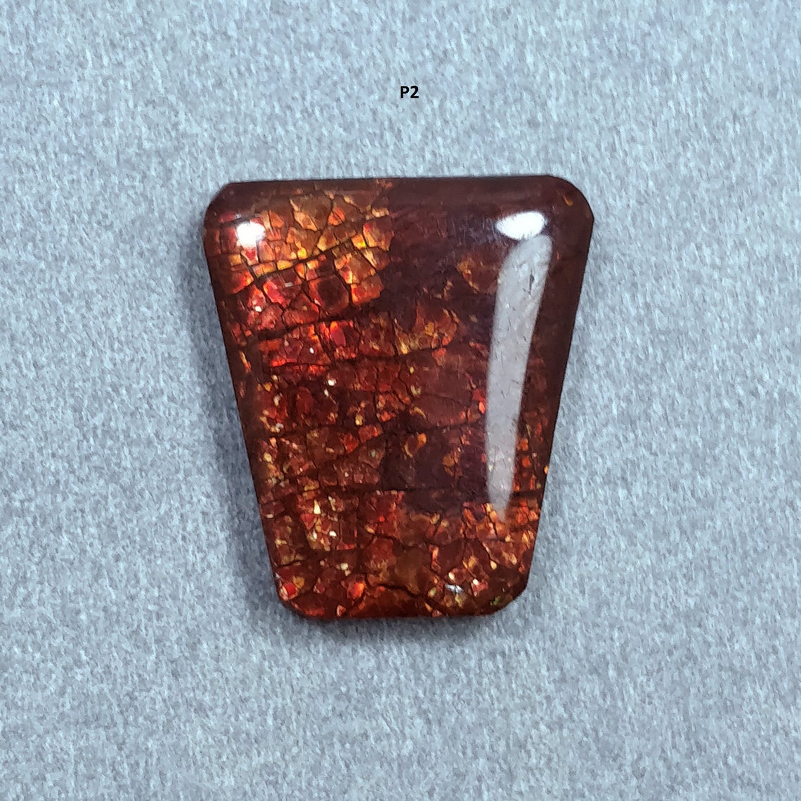 Rare Fire AMMOLITE Gemstone Cabochon : Natural Fossilized Shell Bi-Color Ammolite Uneven Shape Cabochon 1pc (With Video)
