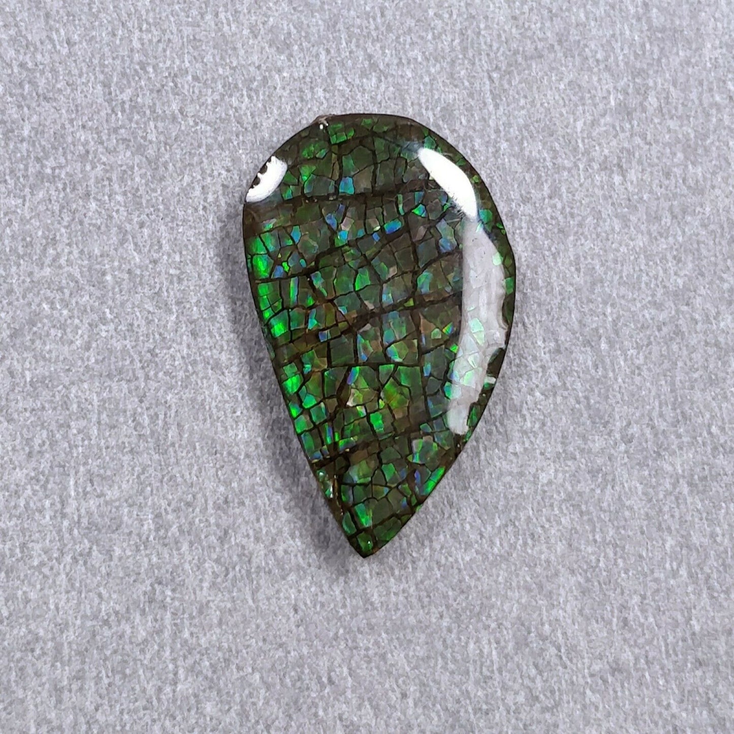 Ammolite Ring